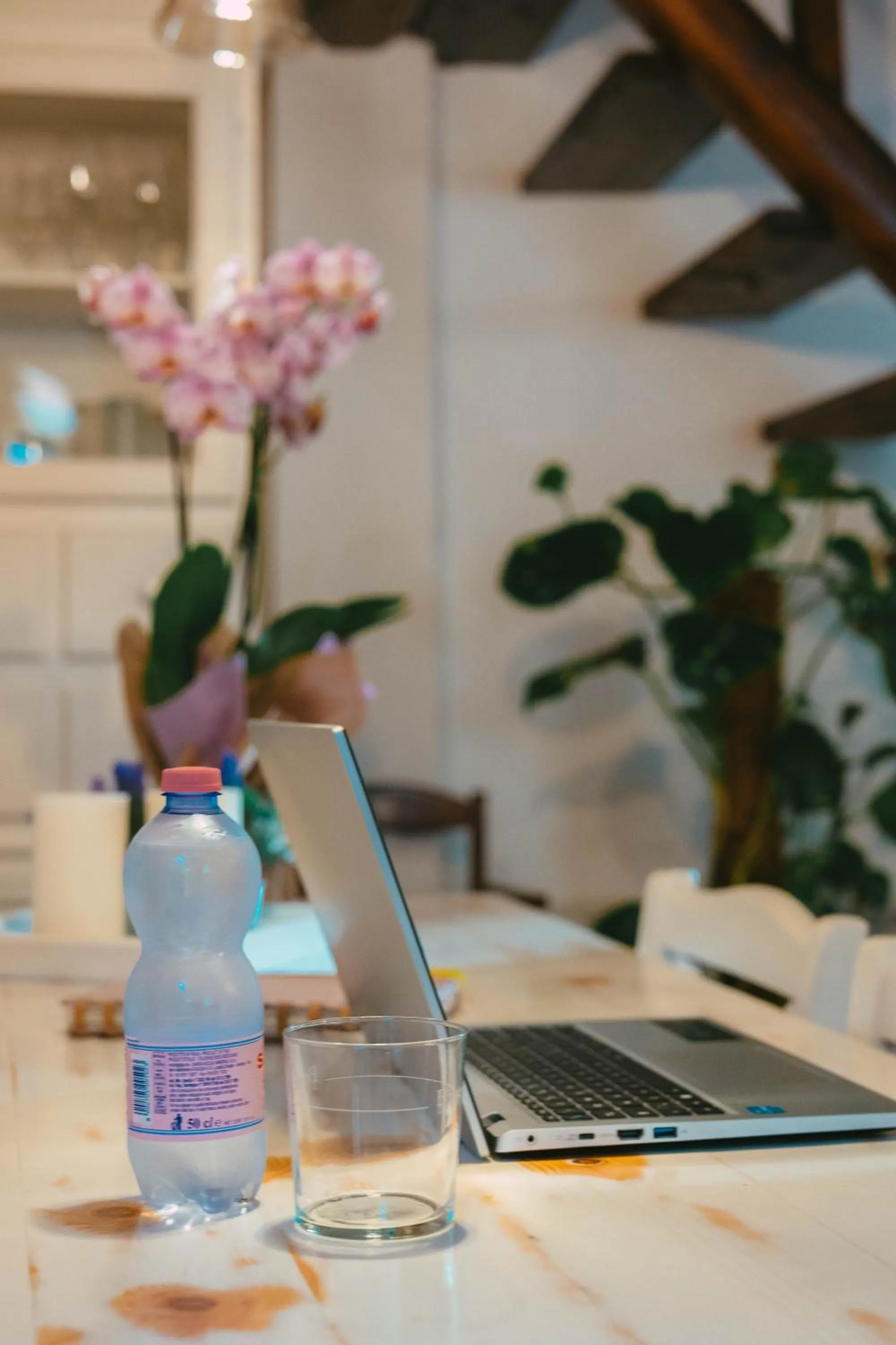 Seating area in Domu Elvira