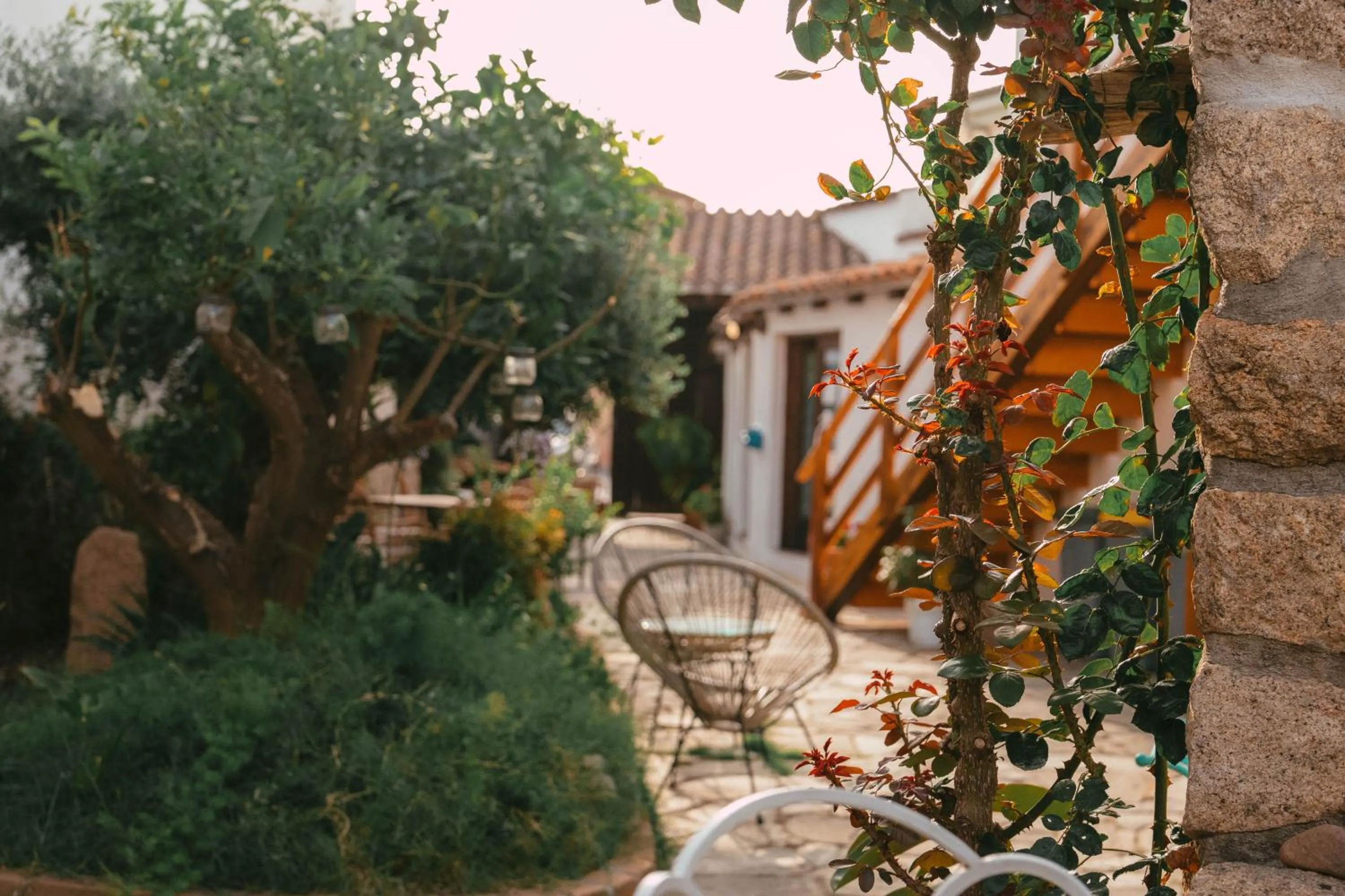 Patio in Domu Elvira