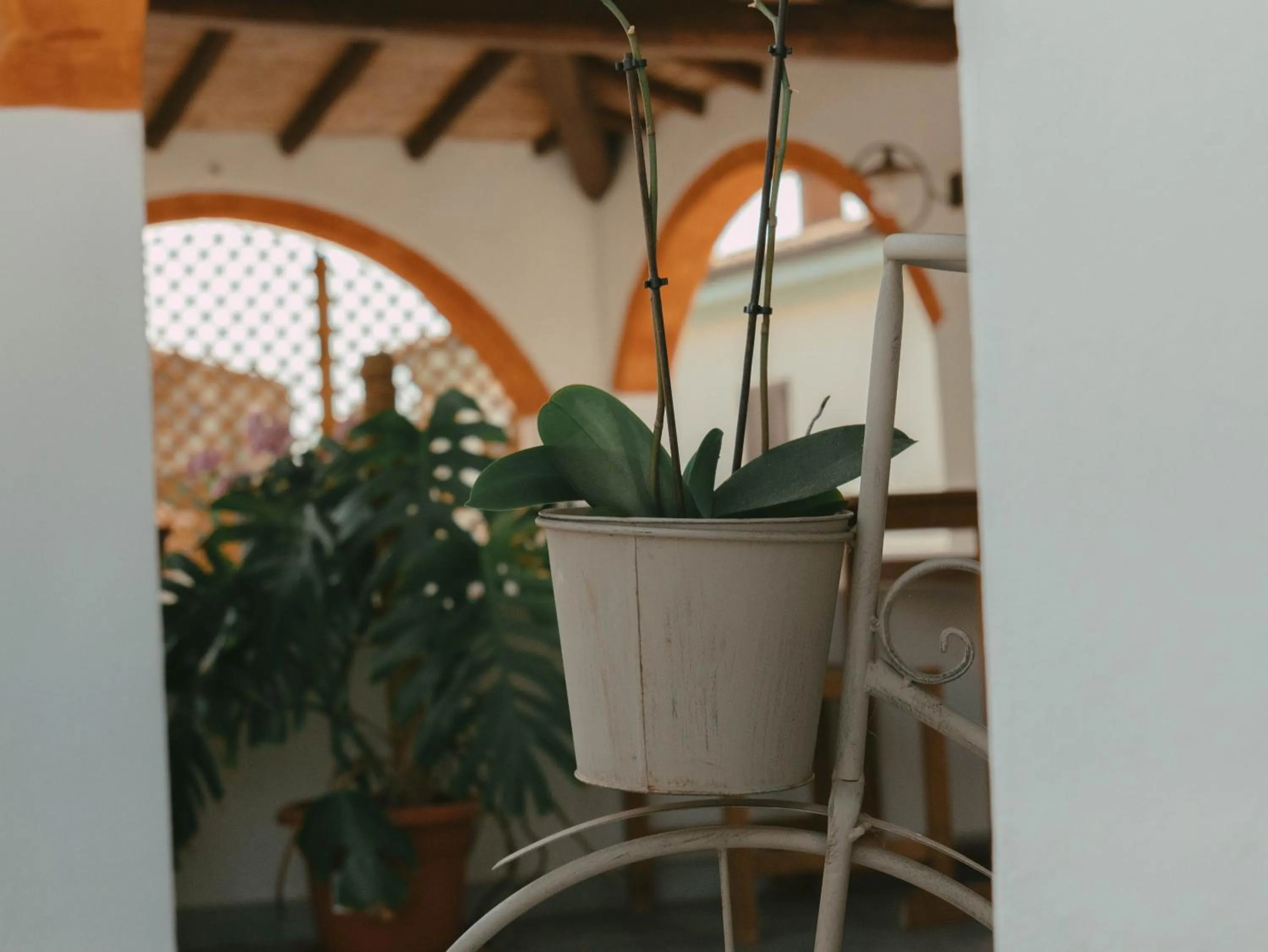 Patio in Domu Elvira