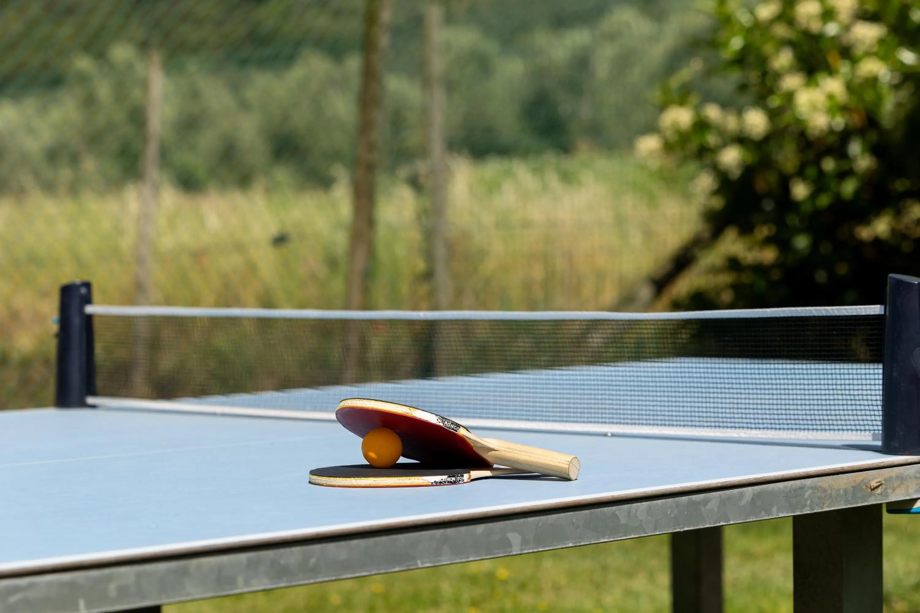 Table tennis in Ambassador Suite Hotel