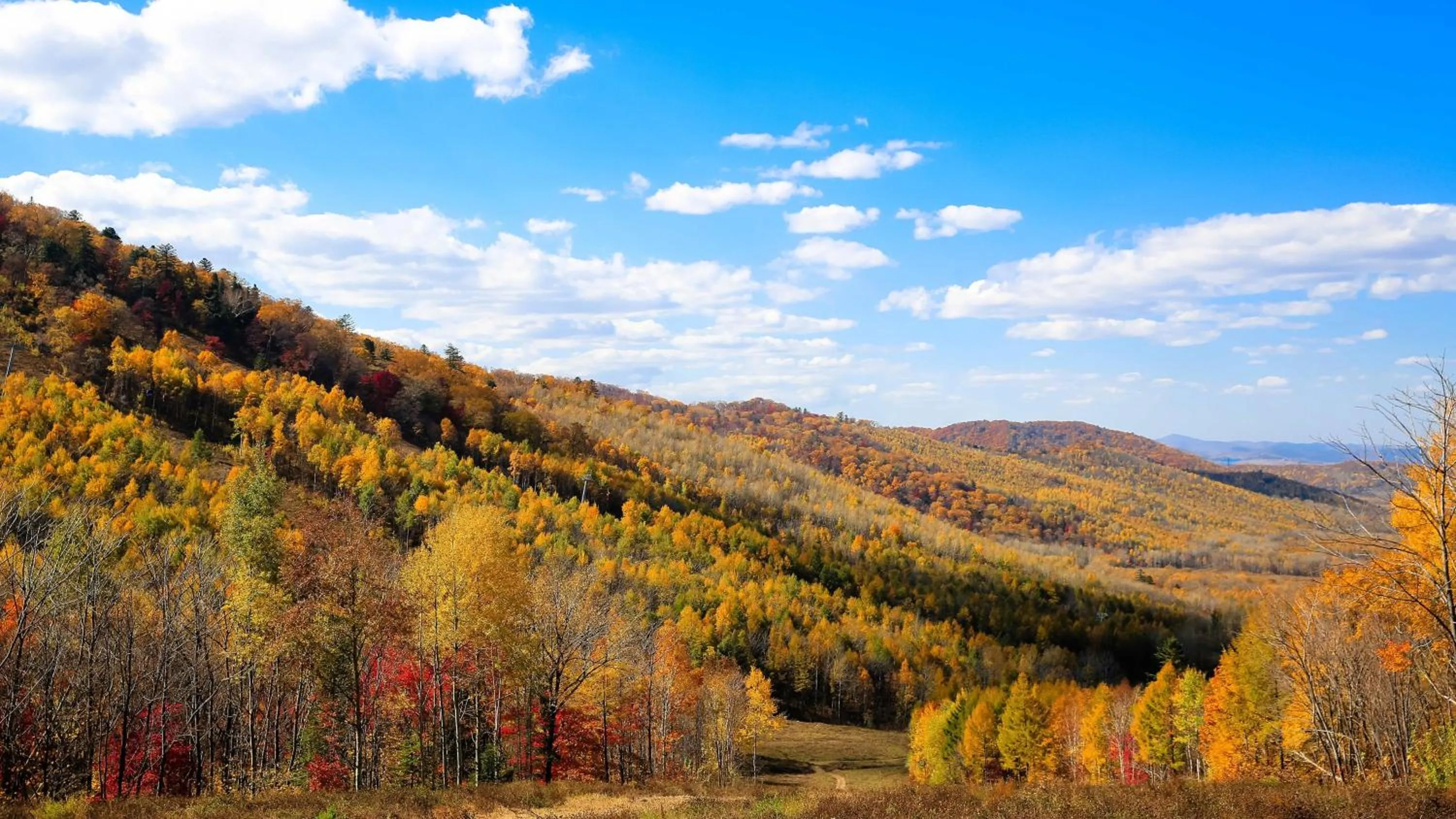 Property building in Holiday Inn Express Changbaishan by IHG