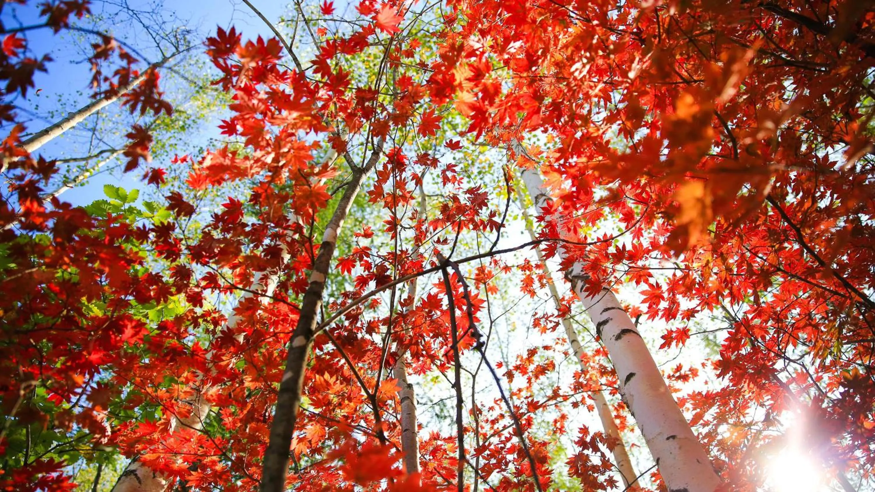 Property building in Holiday Inn Express Changbaishan by IHG