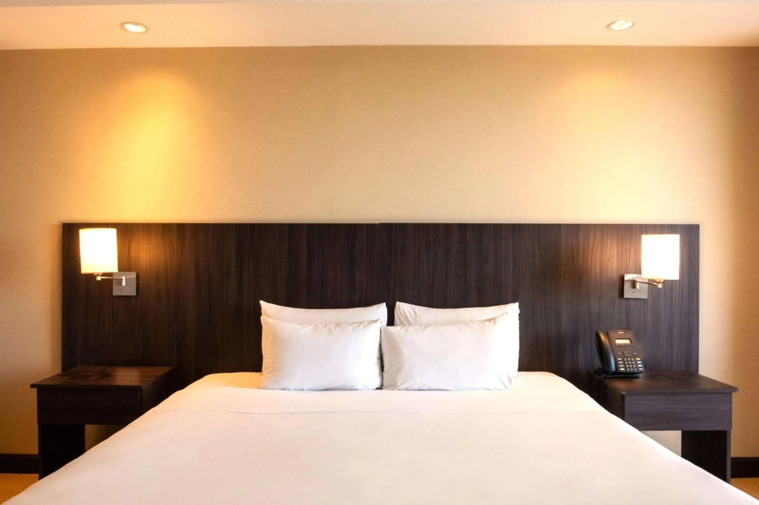 Bed in Hilton Mendoza