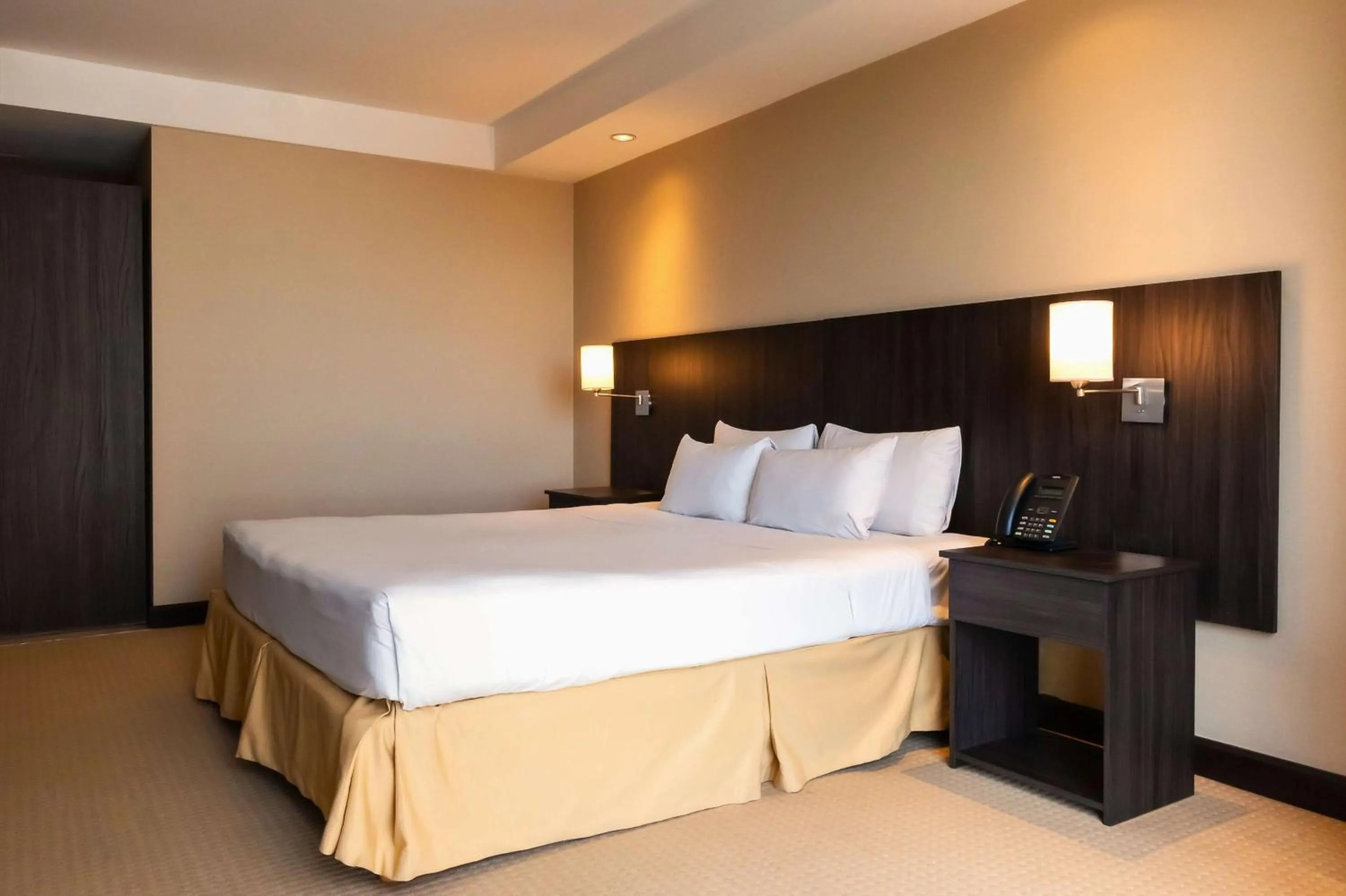 Bed in Hilton Mendoza