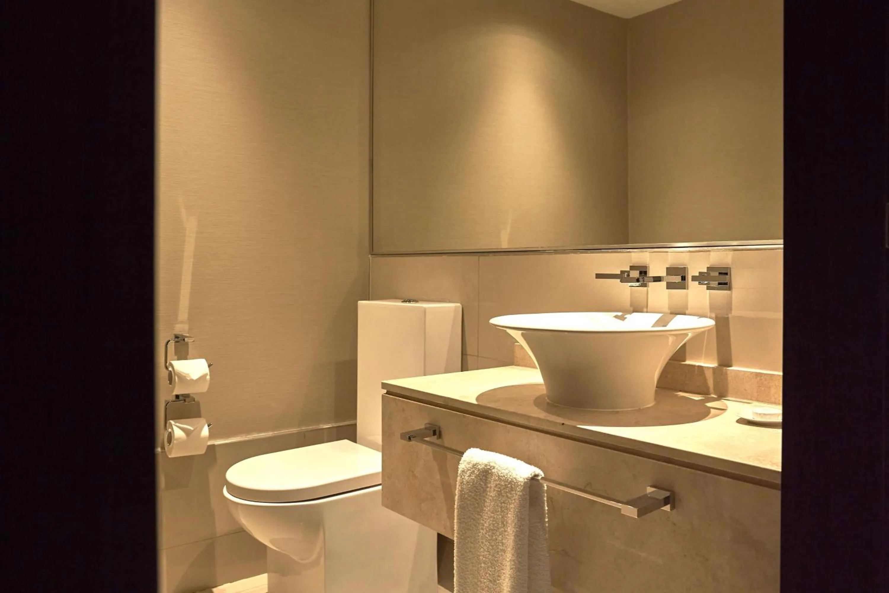 Bathroom in Hilton Mendoza