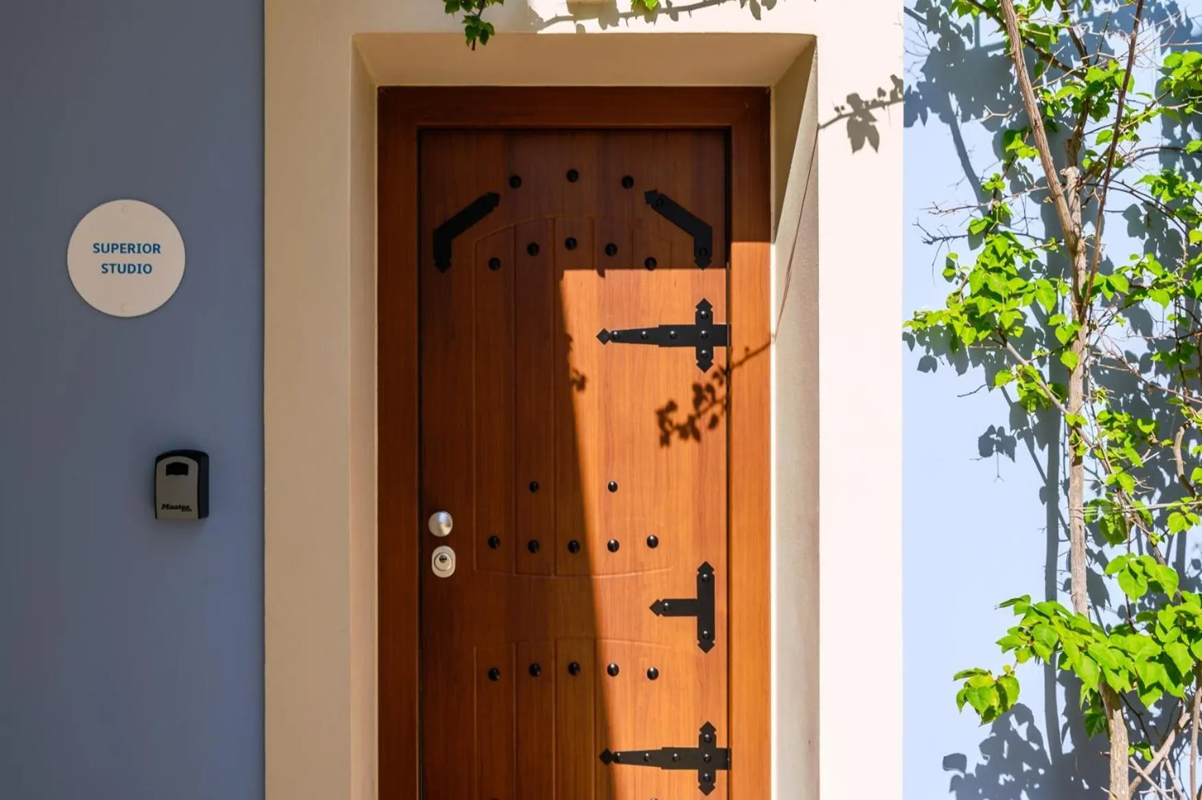 Facade/entrance in Blue Sky House