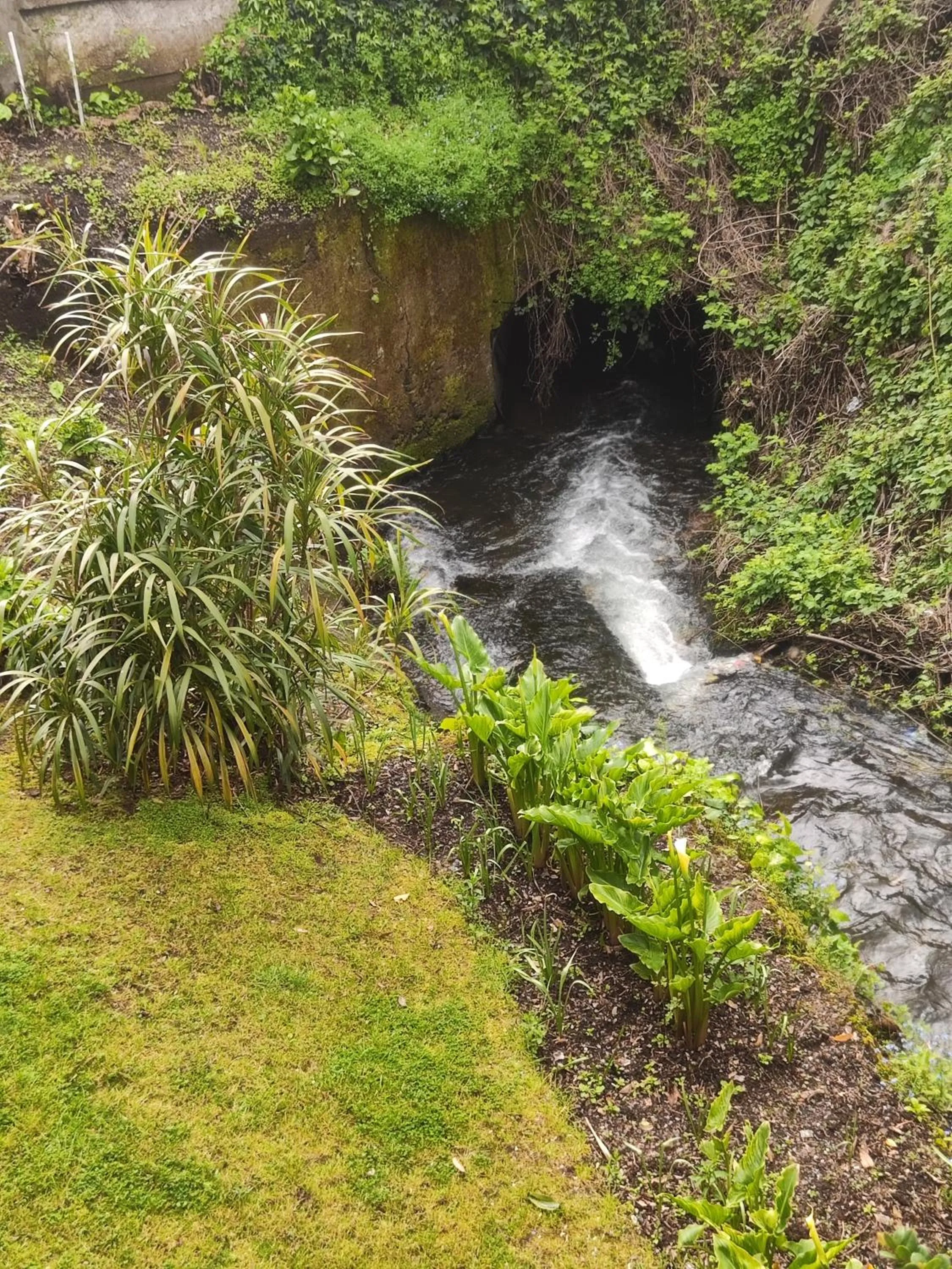 Spring in Omi Kika B&B