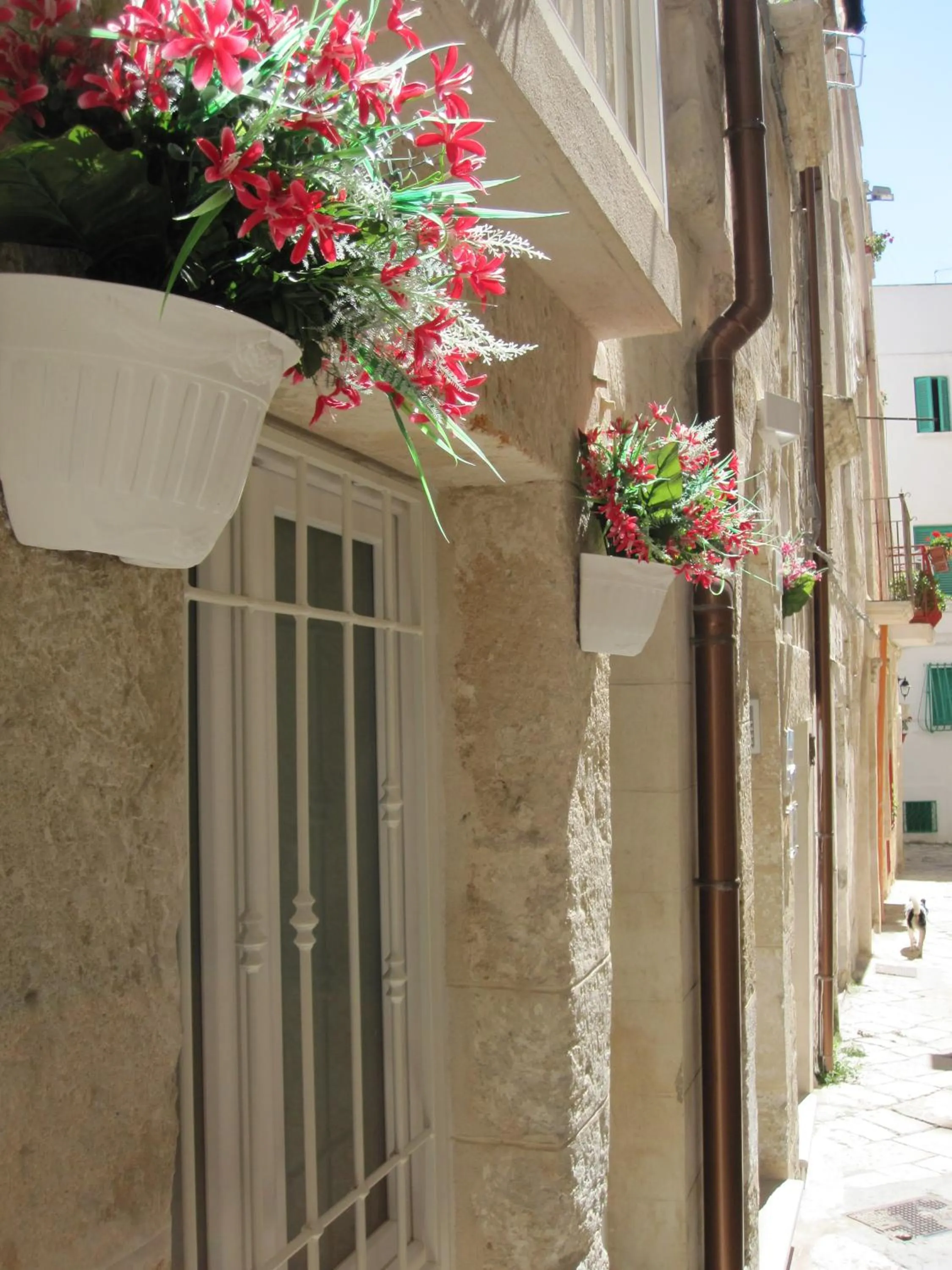 Street view in Casa Nave