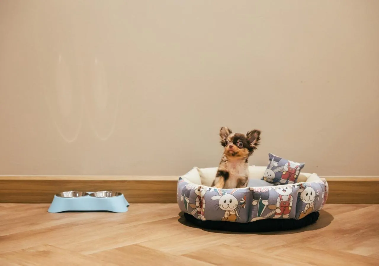 Bed in Away Bangkok Riverside Kene