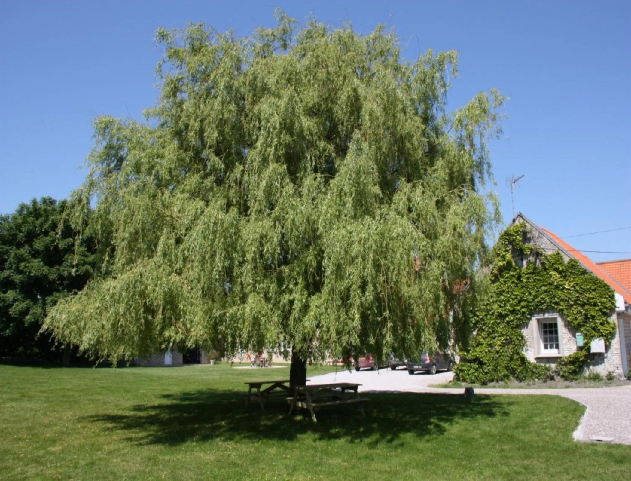 Facade/entrance in La Haute Muraille