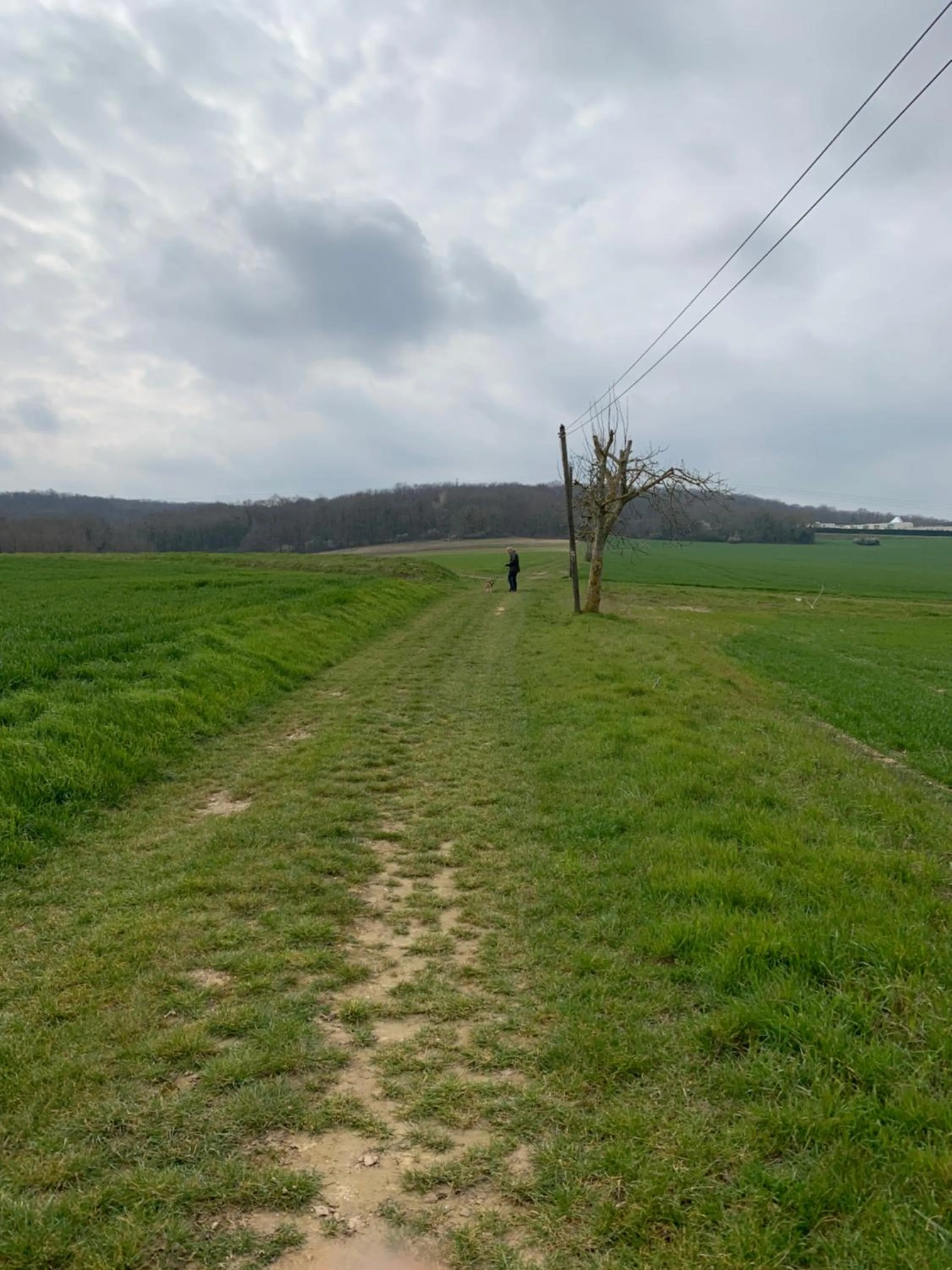 Spring in YXIE - Manoir des Arts