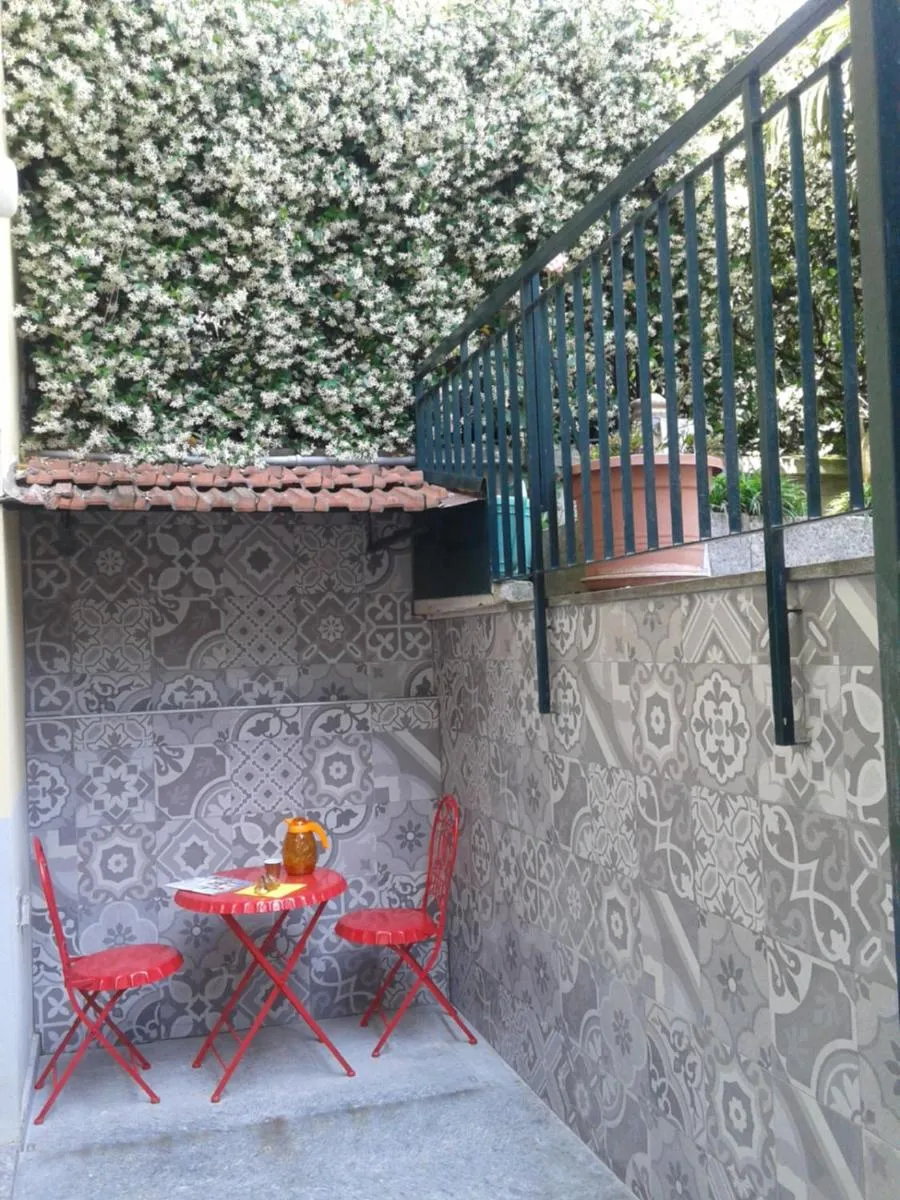 Garden view in Hotel Malta