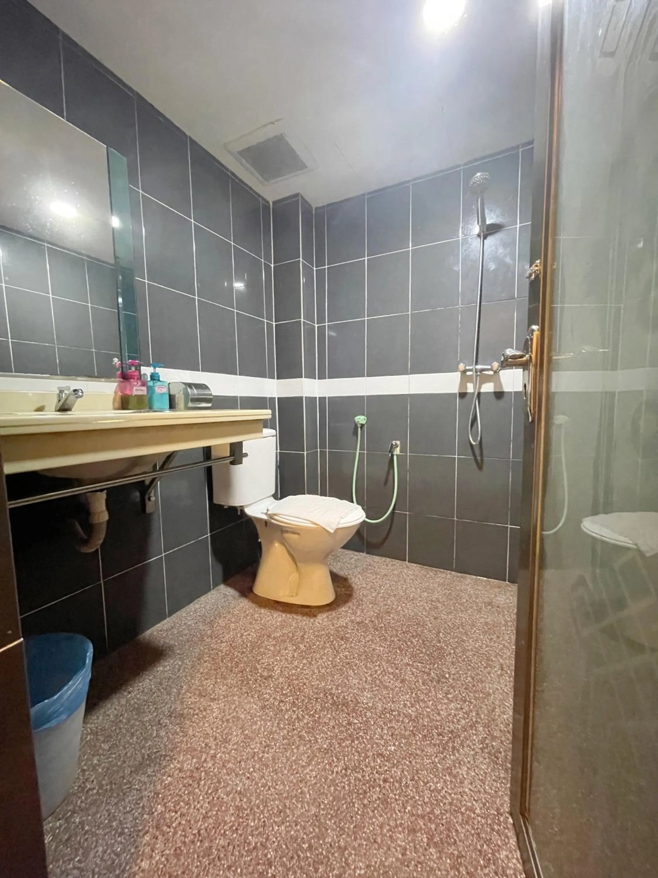 Bathroom in City Boutique Hotel - Bangi