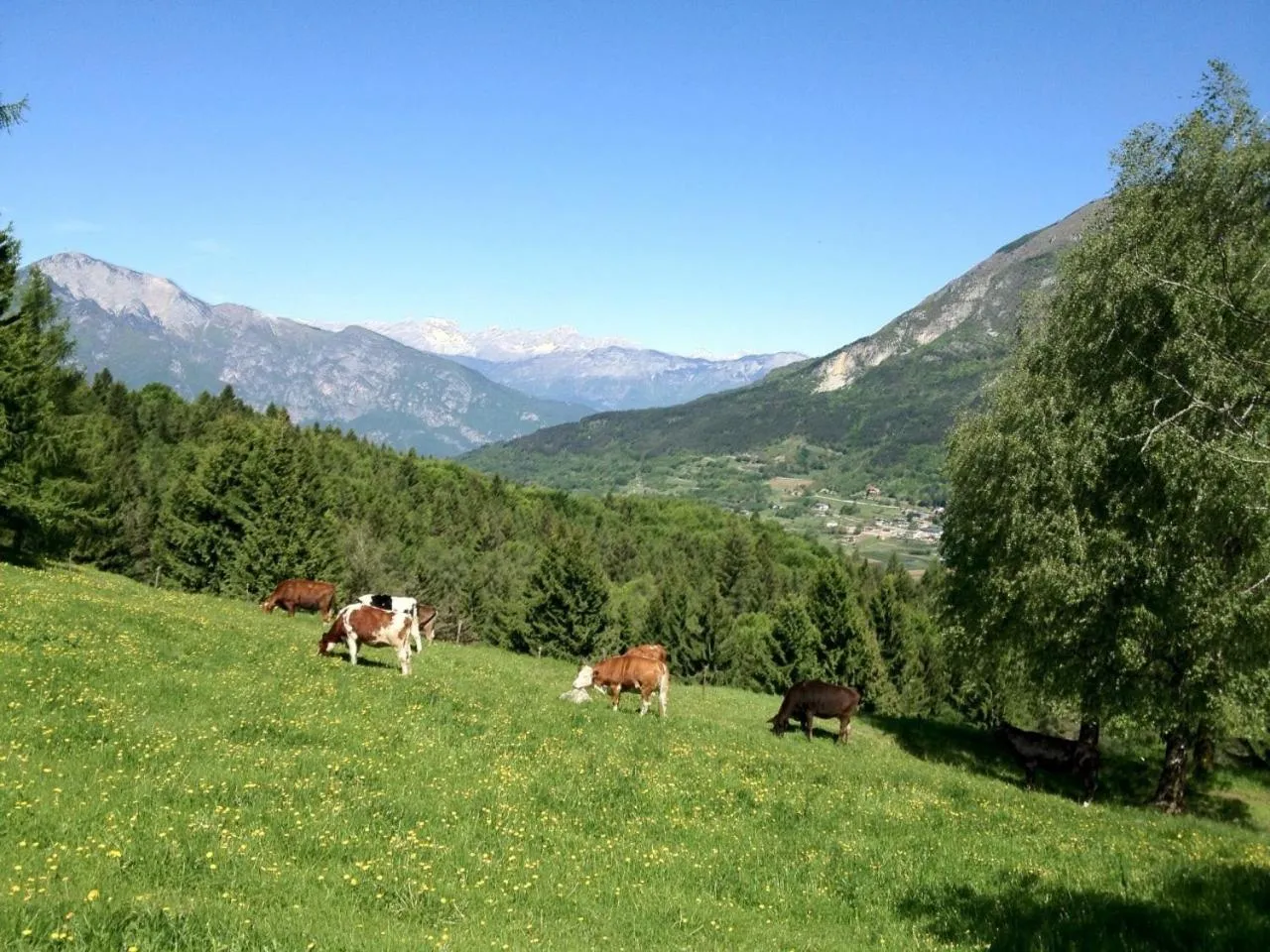 Natural landscape in Al Pian Garnì - B&B & Pizza