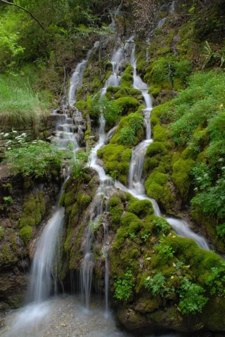 Natural landscape in Al Pian Garnì - B&B & Pizza