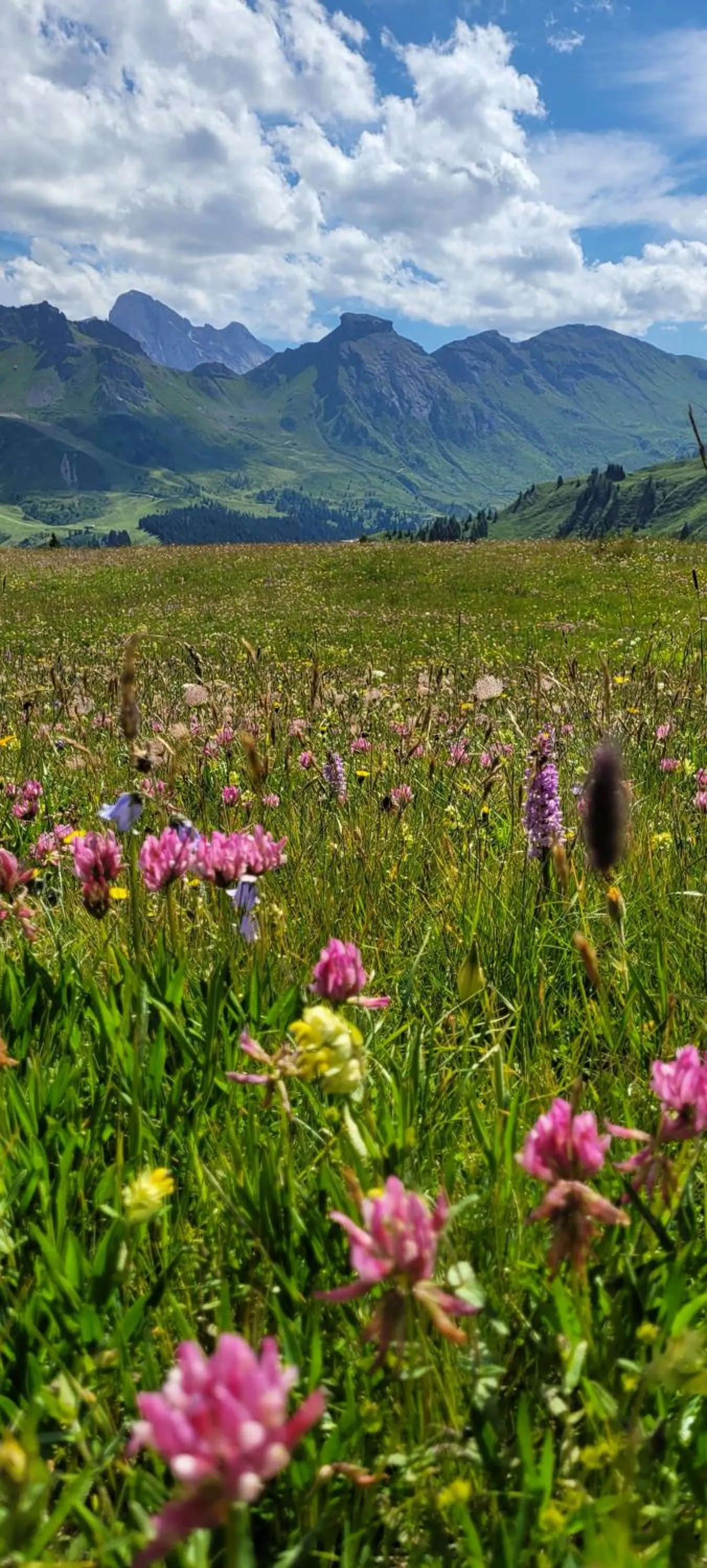 Nearby landmark in Hotel Garni Royal