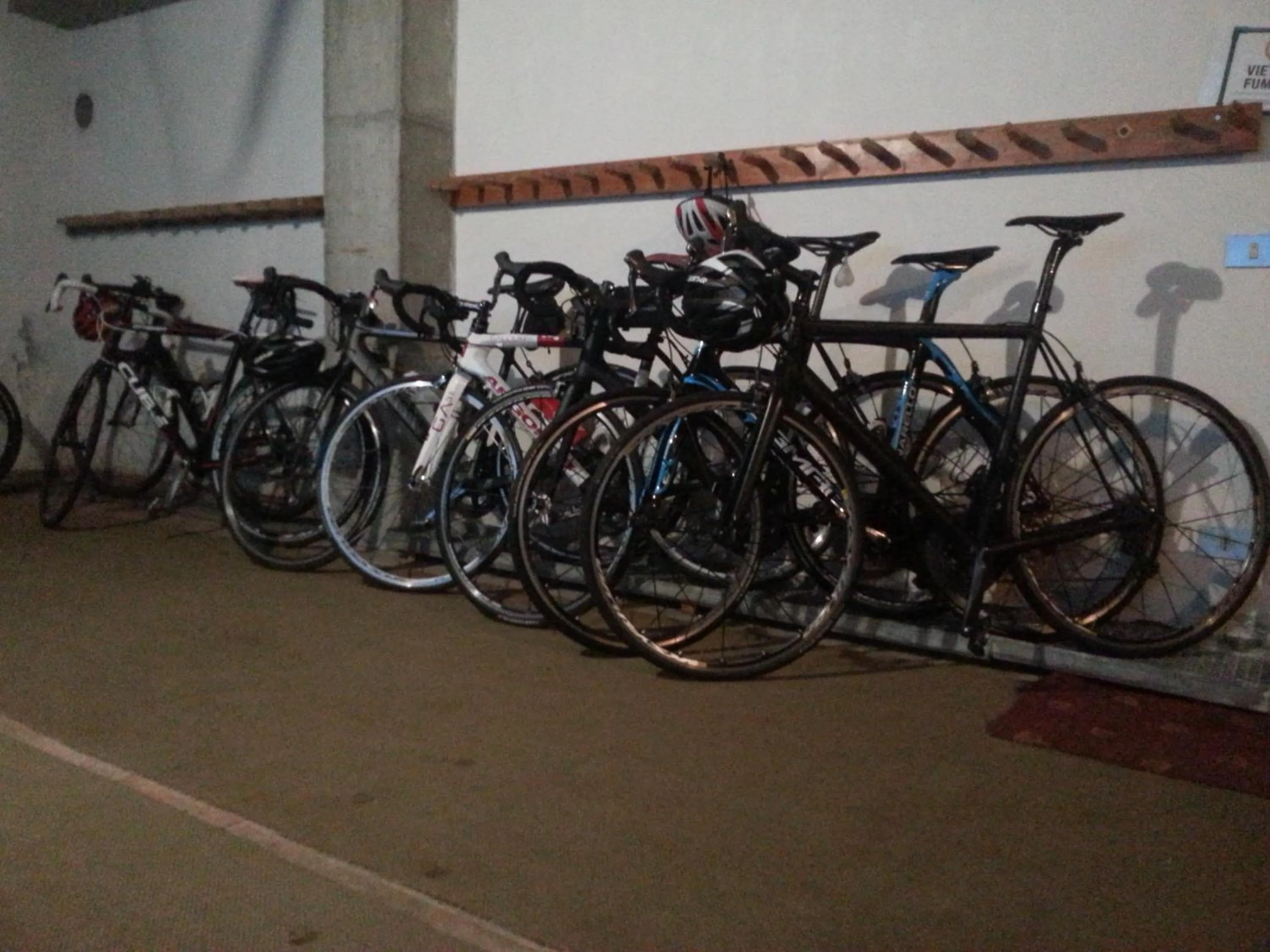 Area and facilities in Hotel Garni Royal