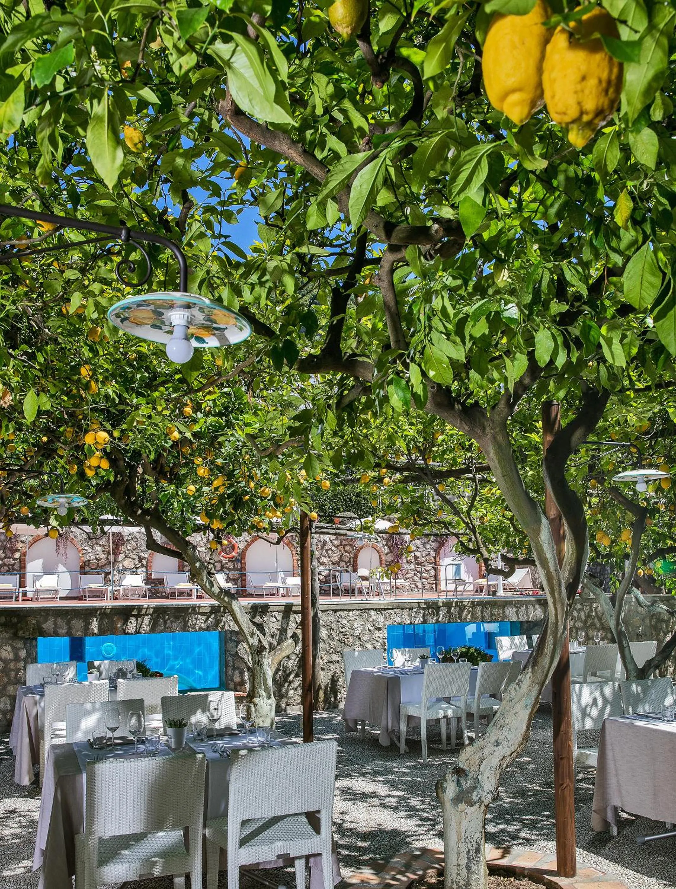 Restaurant/places to eat in Hotel Syrene