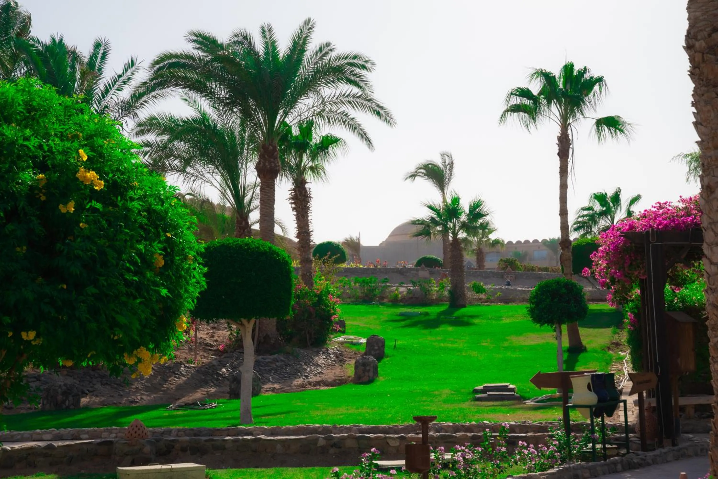 Natural landscape in Utopia Beach Club