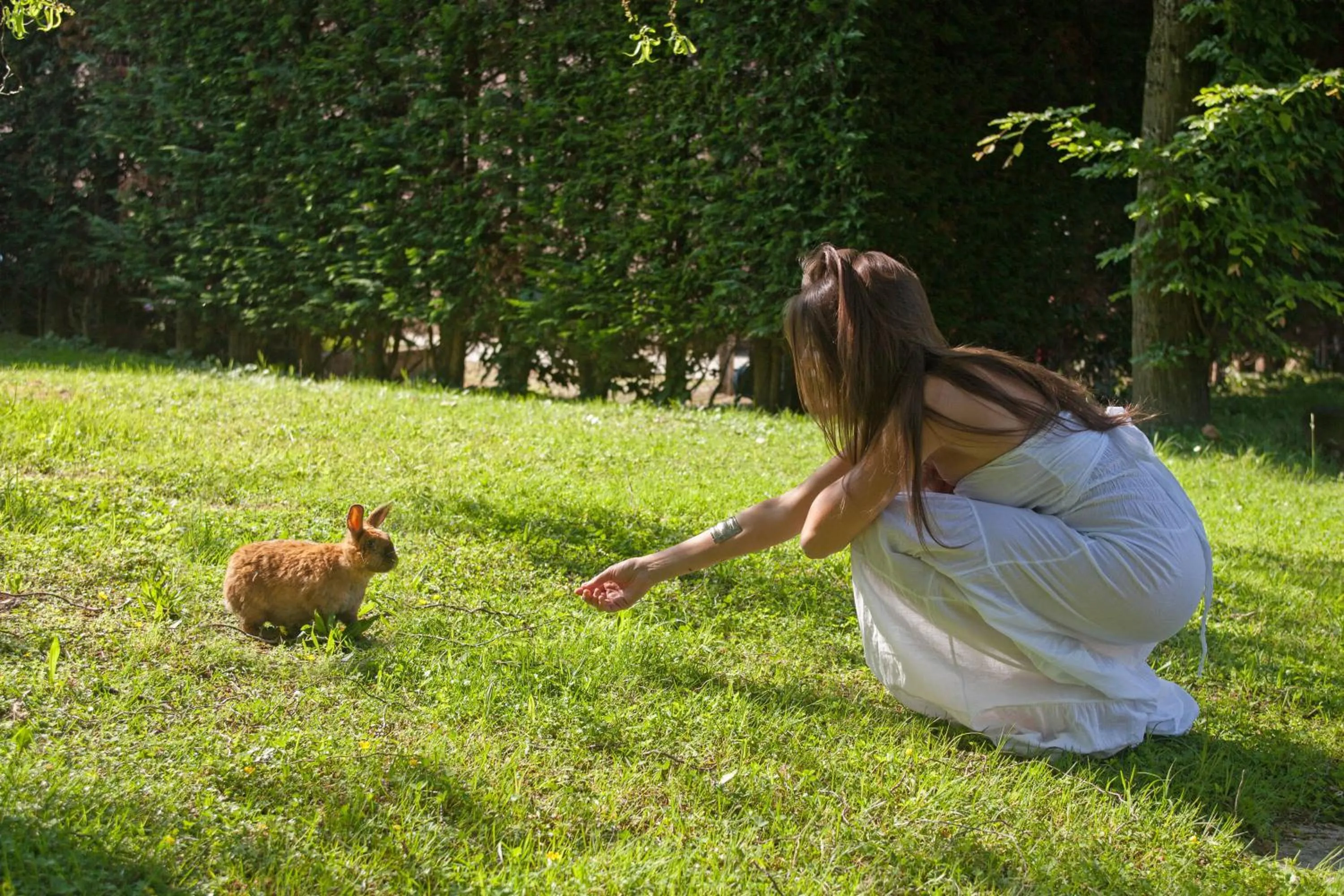 Garden in Abano Ritz Hotel Terme