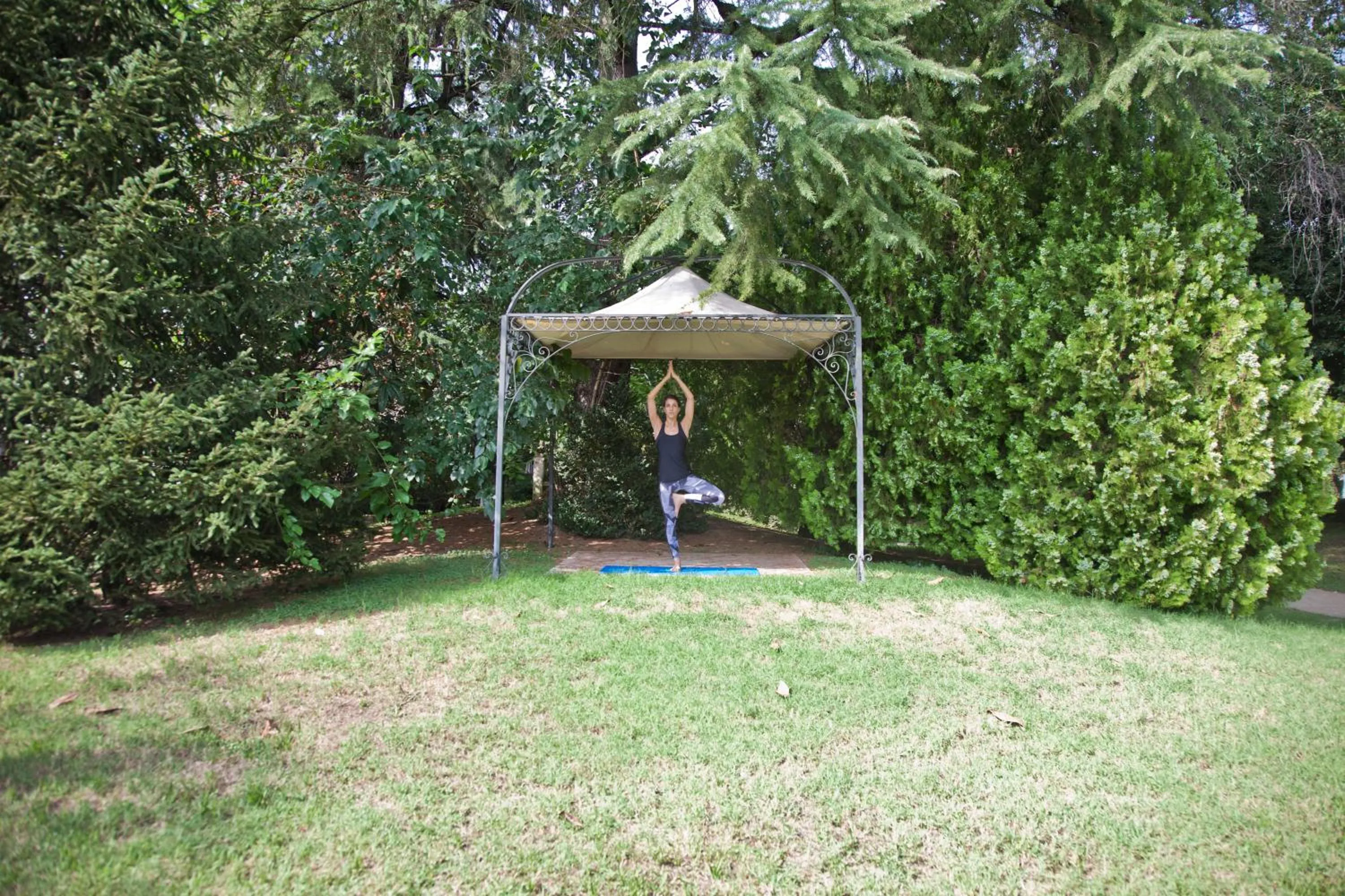 Activities in Abano Ritz Hotel Terme