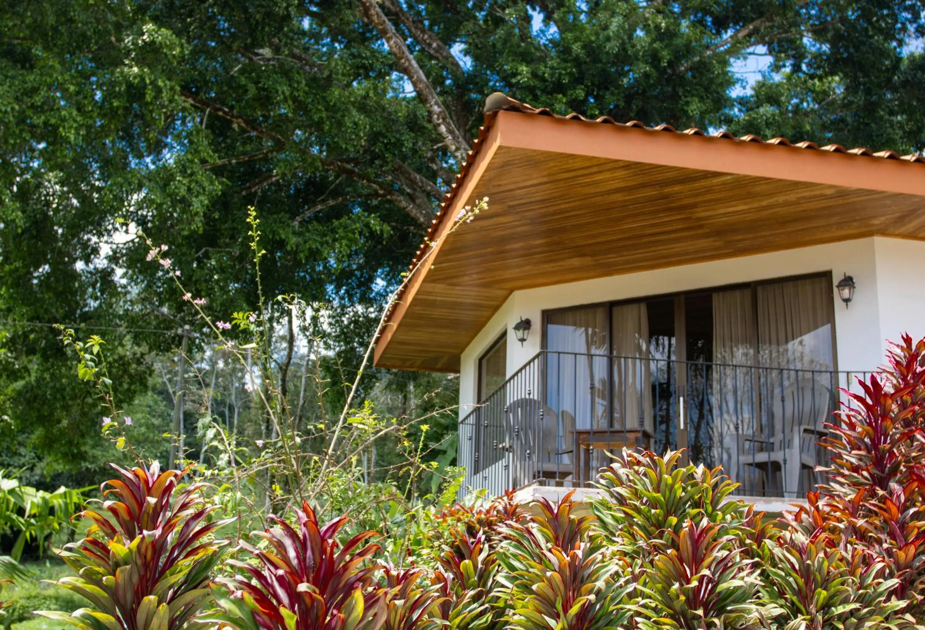Garden view in Miradas Arenal Hotel & Hotsprings