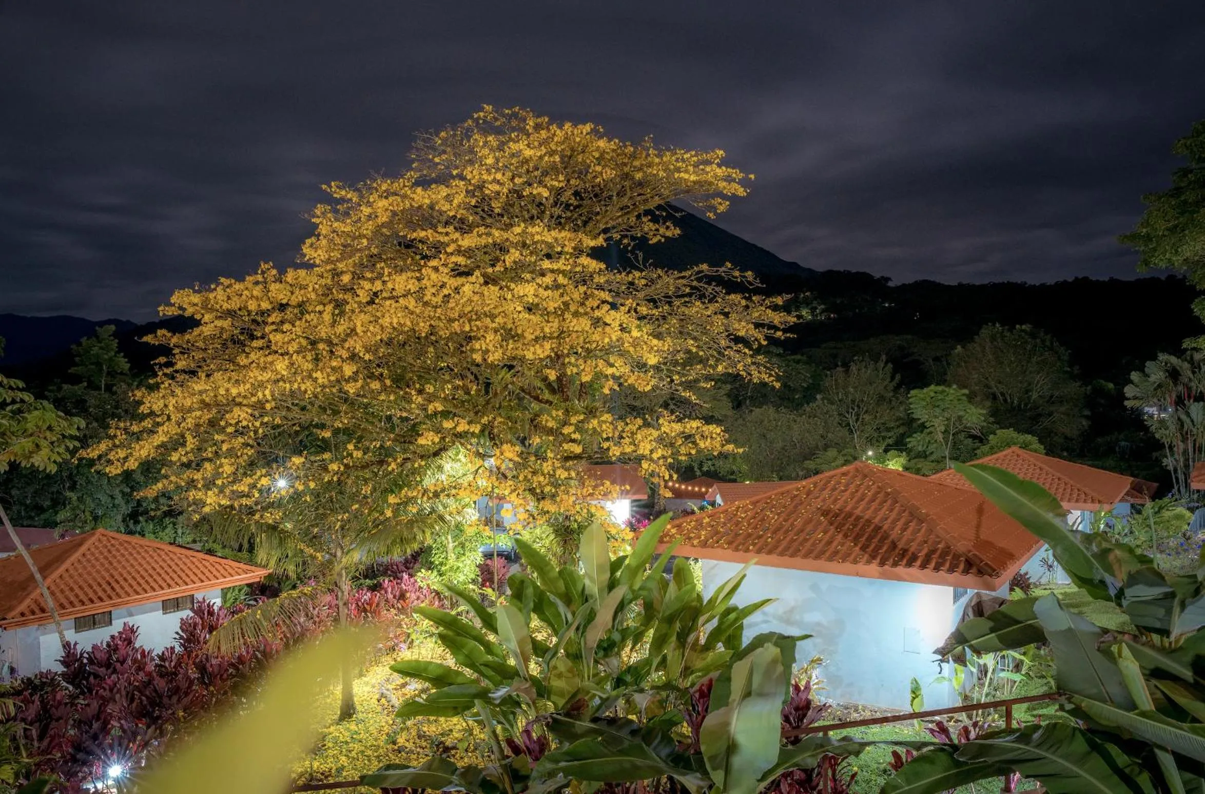 Garden in Miradas Arenal Hotel & Hotsprings