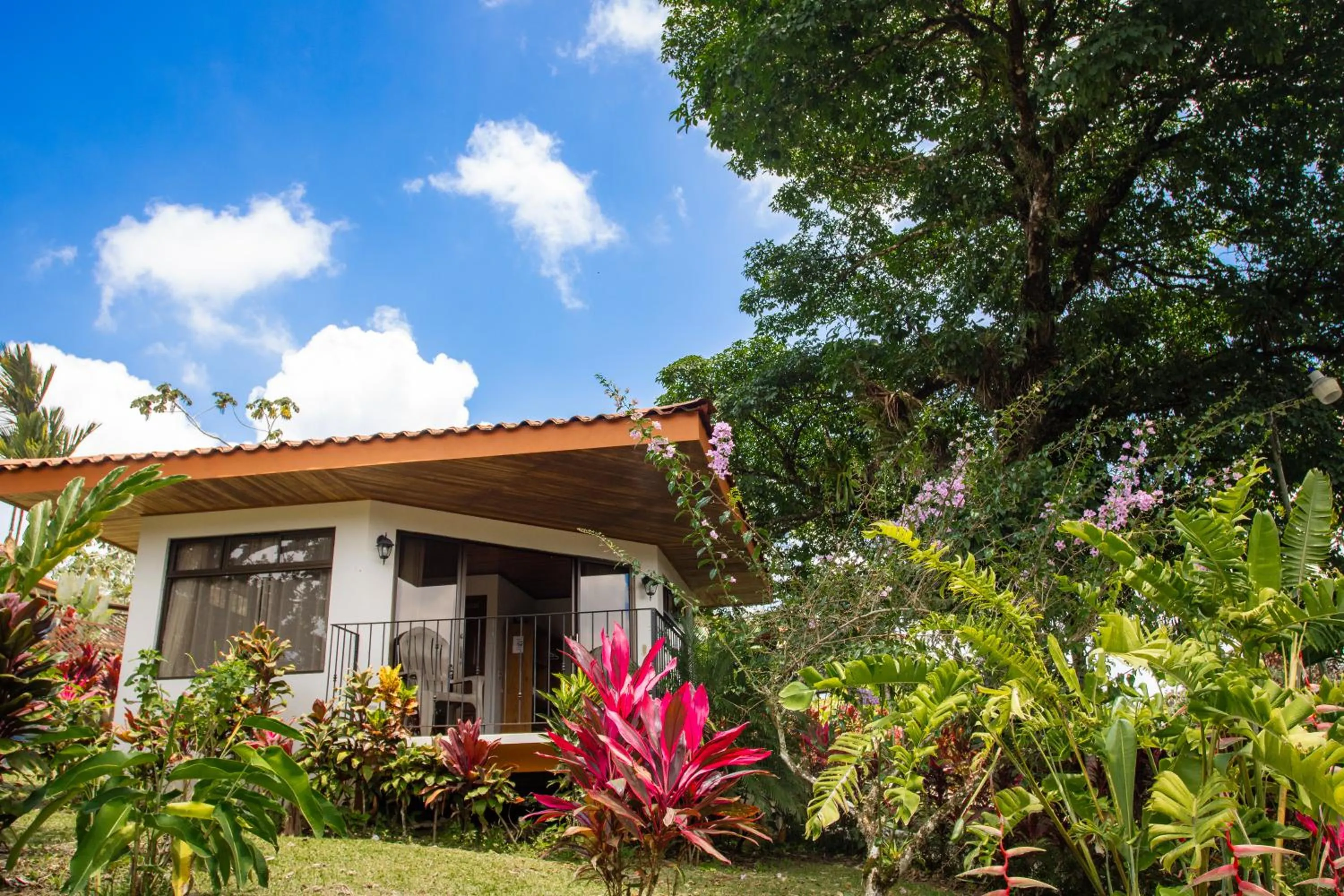 Garden in Miradas Arenal Hotel & Hotsprings