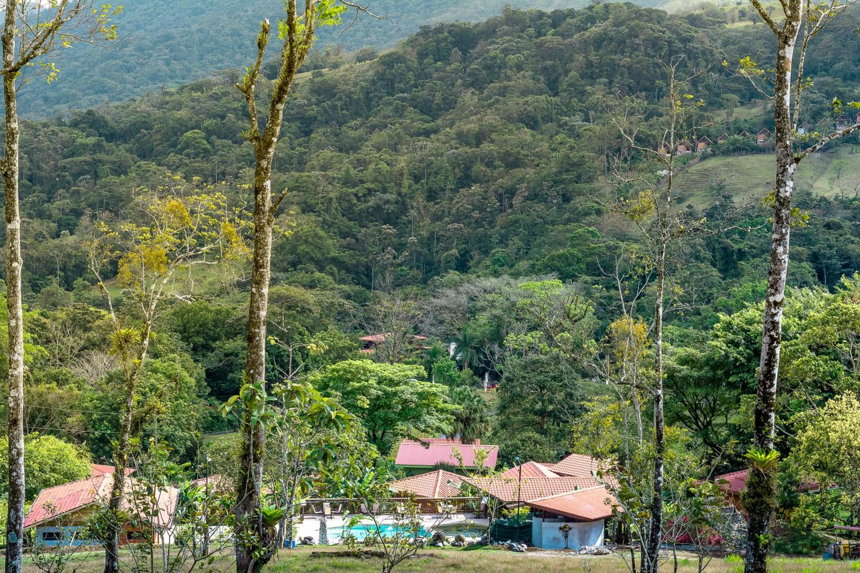 Natural landscape in Miradas Arenal Hotel & Hotsprings