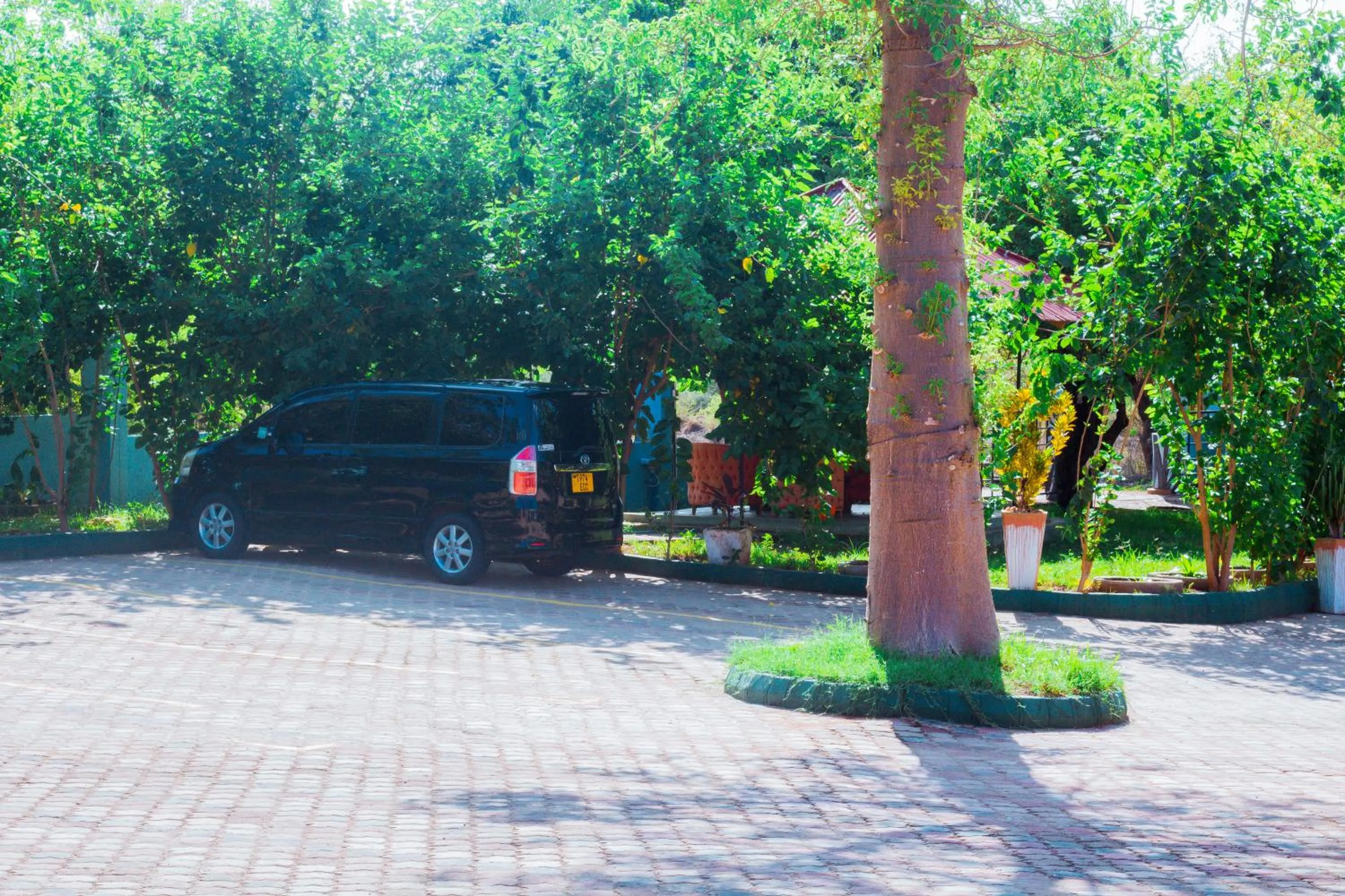 Parking in Mkomazi Hotels and Camps