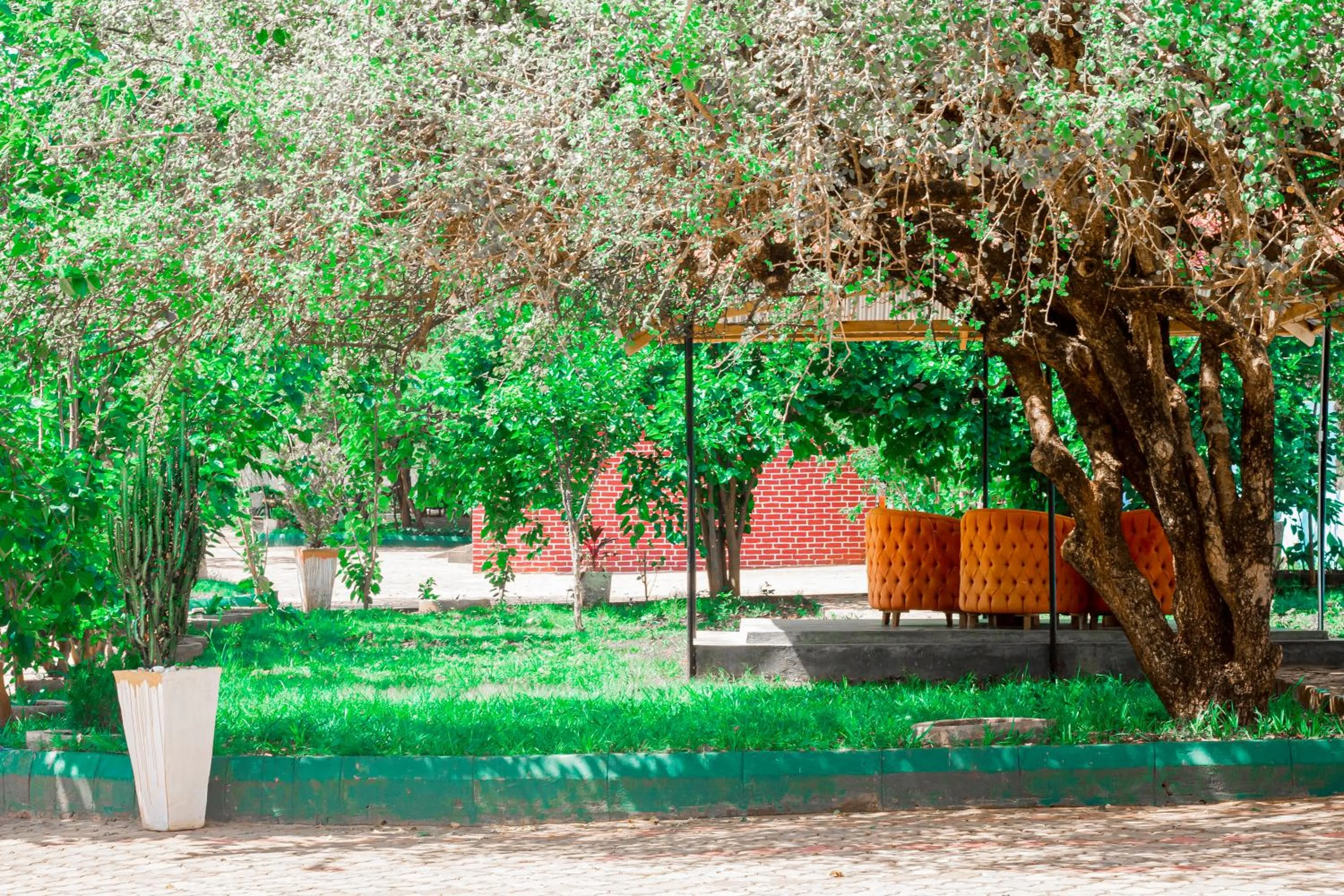 Breakfast in Mkomazi Hotels and Camps