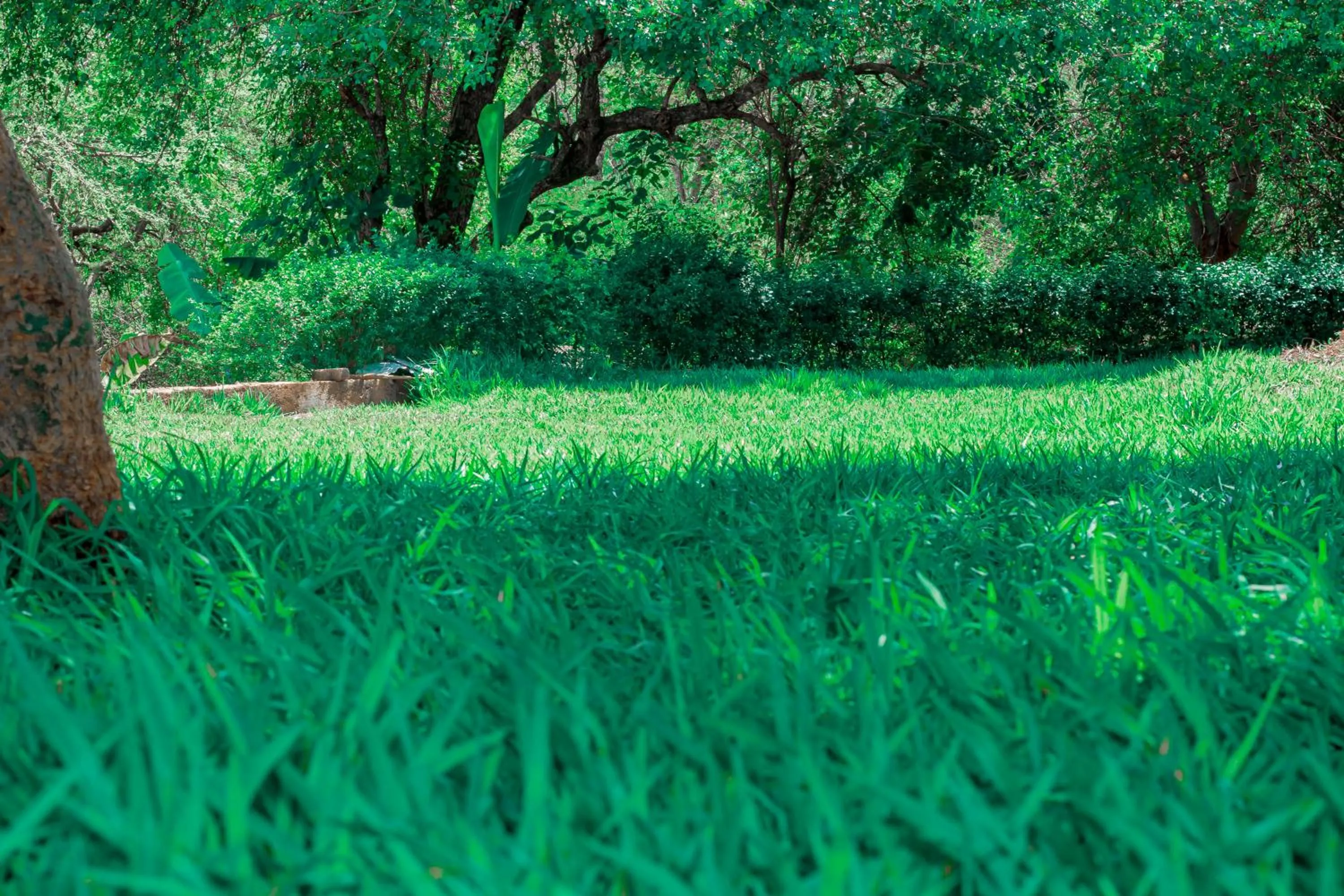 Natural landscape in Mkomazi Hotels and Camps