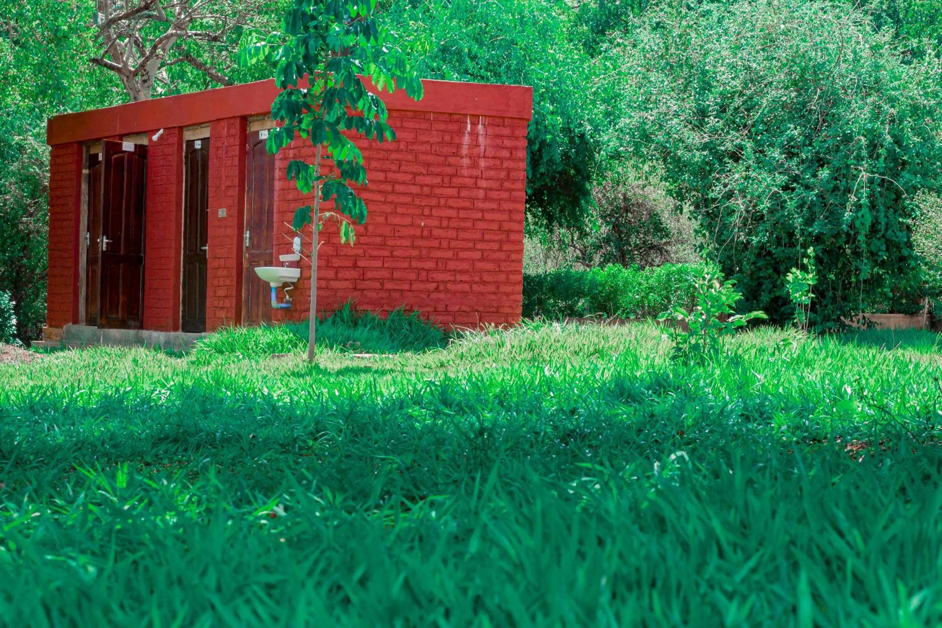 Natural landscape in Mkomazi Hotels and Camps