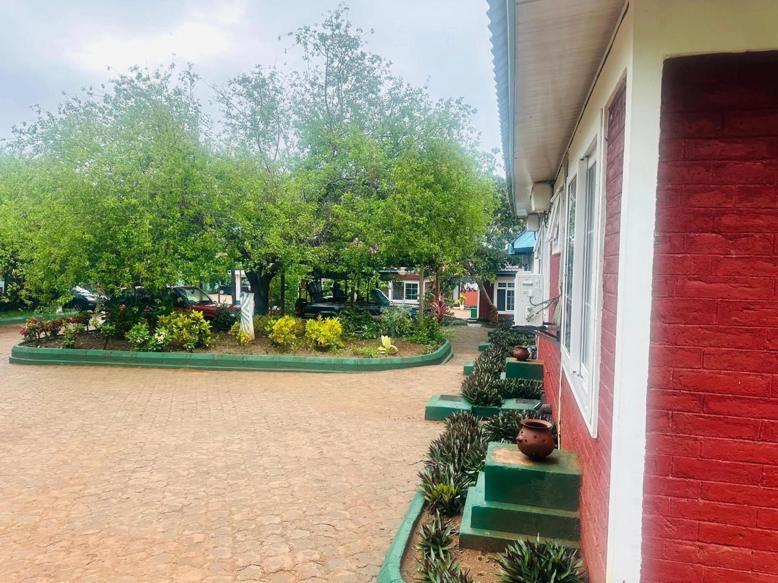 Garden in Mkomazi Hotels and Camps