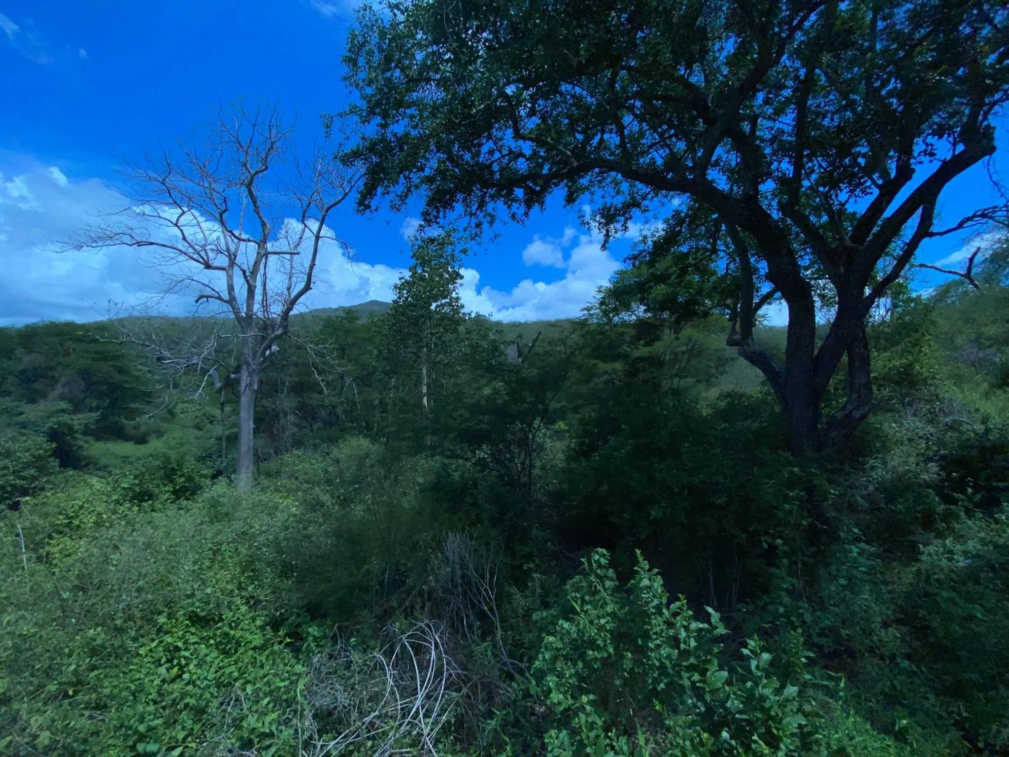 Natural landscape in Mkomazi Hotels and Camps