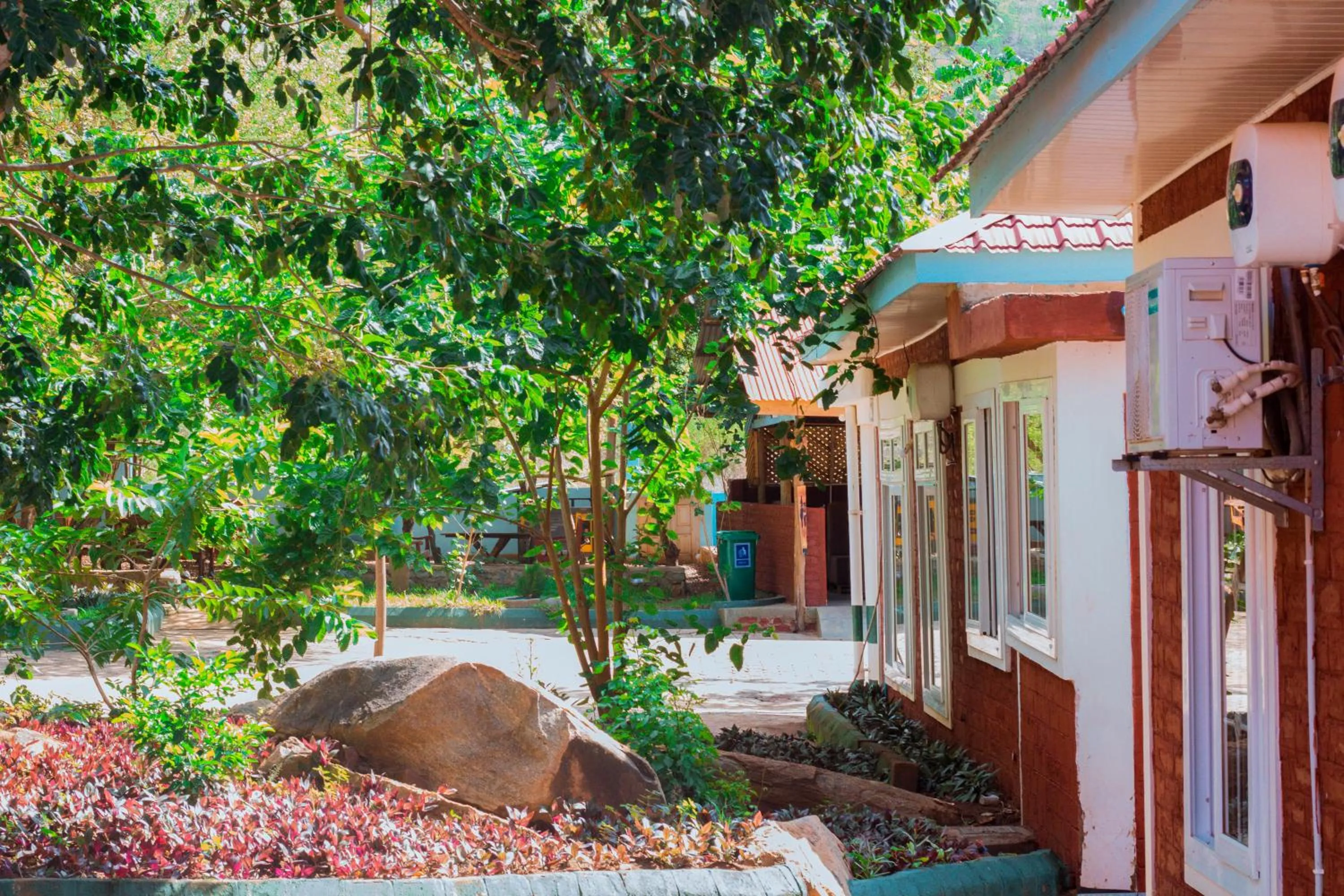 Garden in Mkomazi Hotels and Camps
