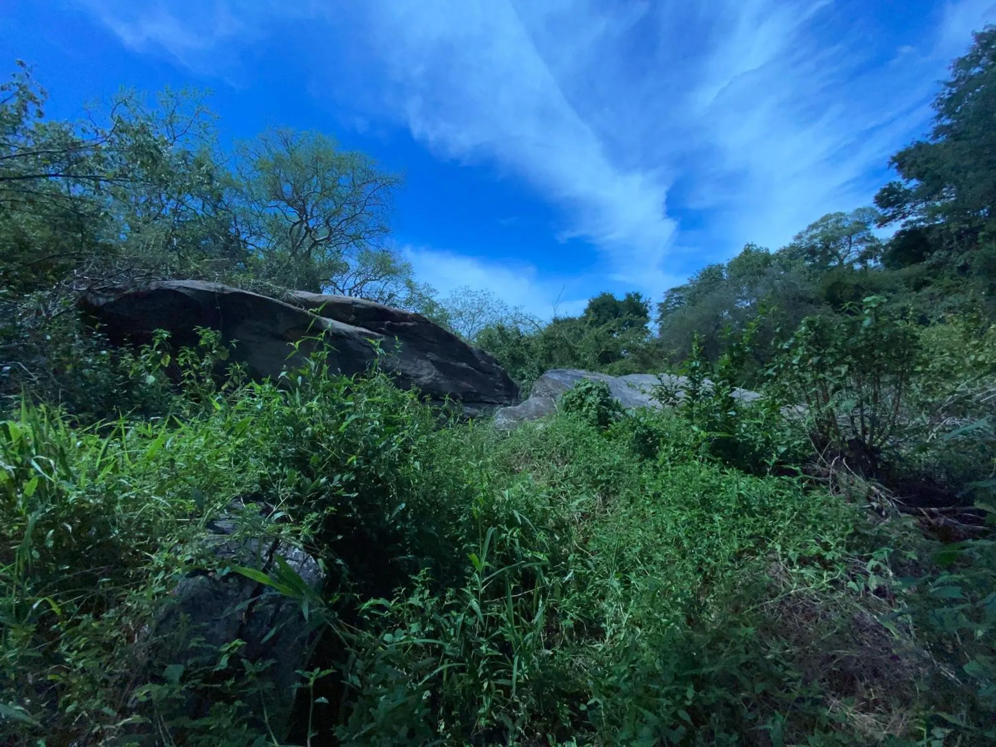 Natural landscape in Mkomazi Hotels and Camps