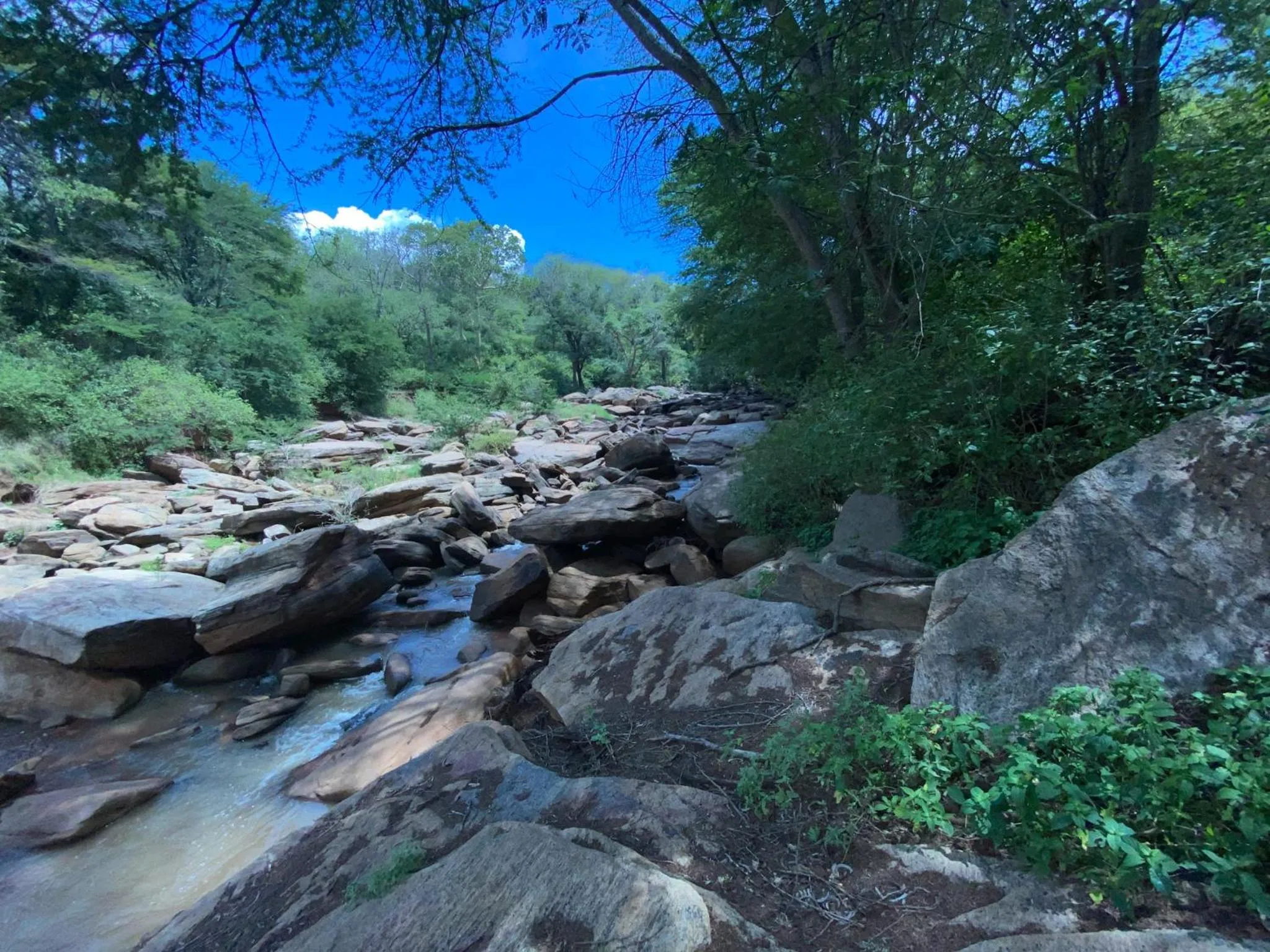 River view in Mkomazi Hotels and Camps
