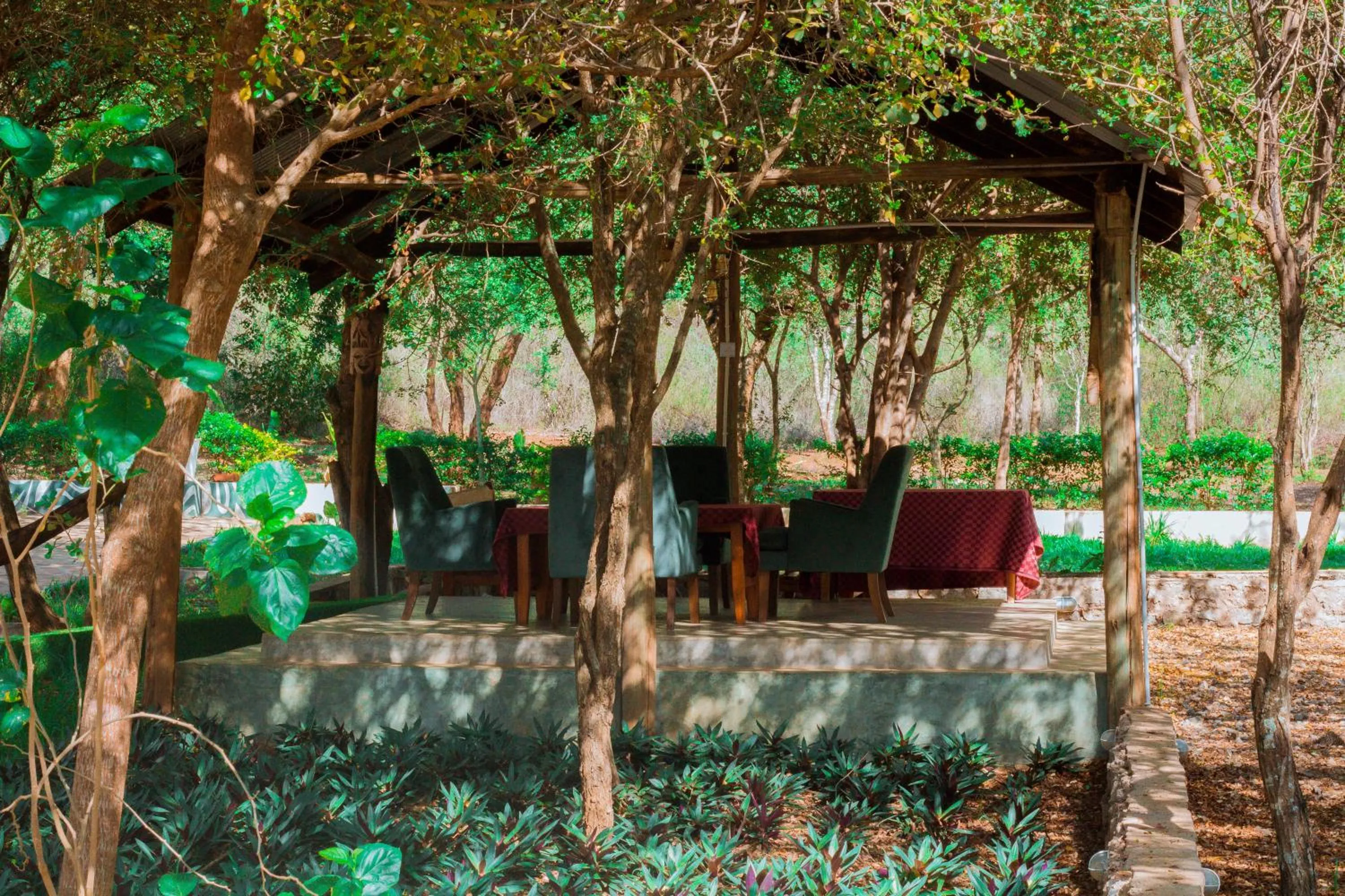 Breakfast in Mkomazi Hotels and Camps