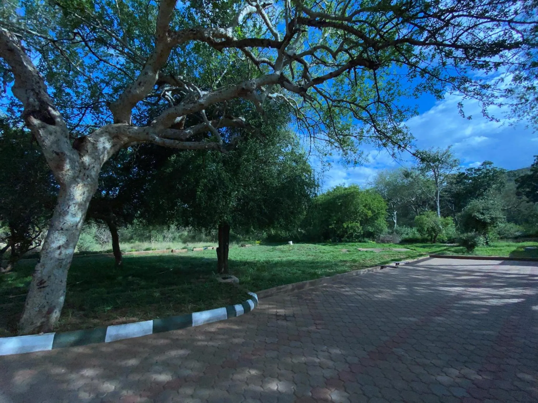 Natural landscape in Mkomazi Hotels and Camps