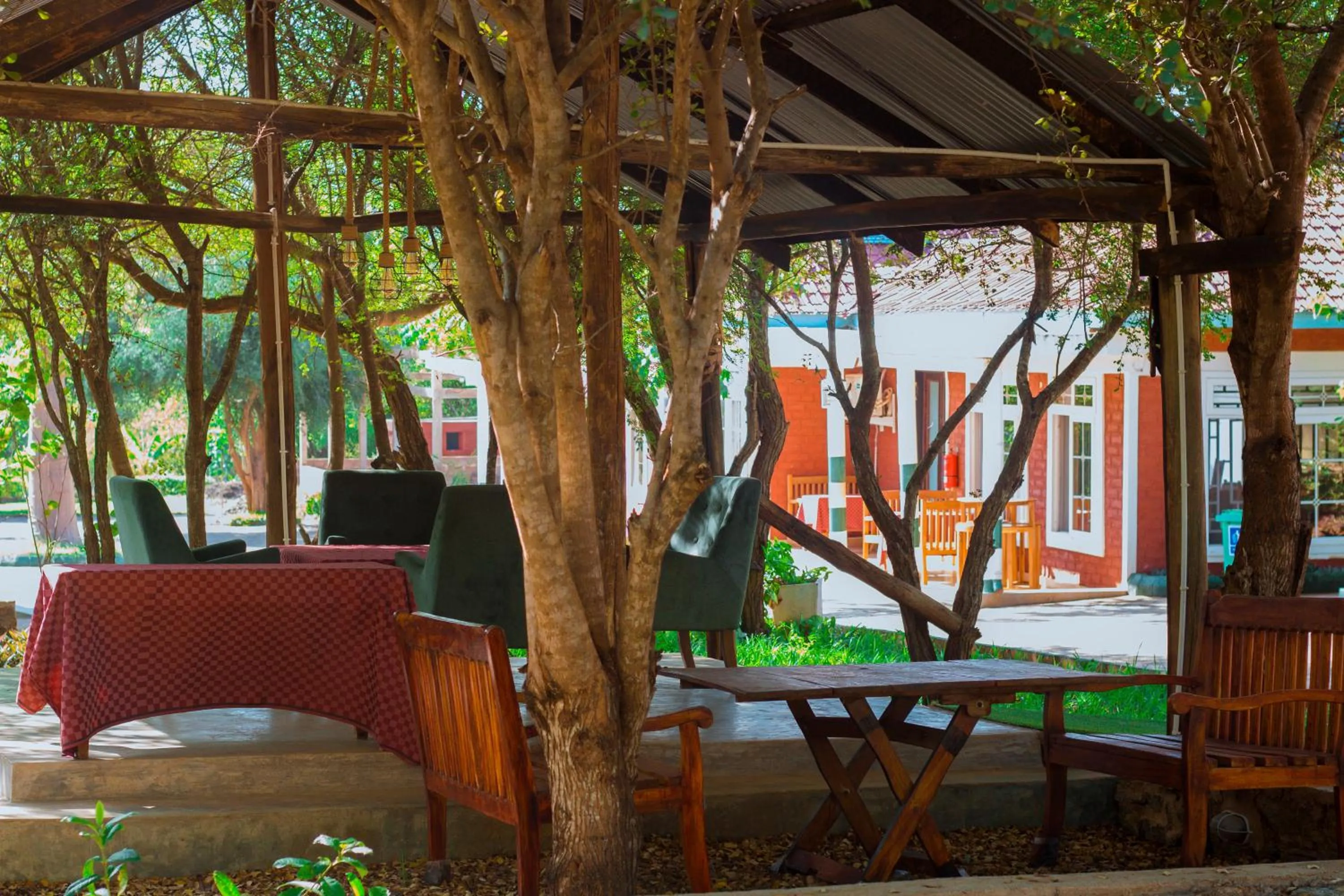 Breakfast in Mkomazi Hotels and Camps