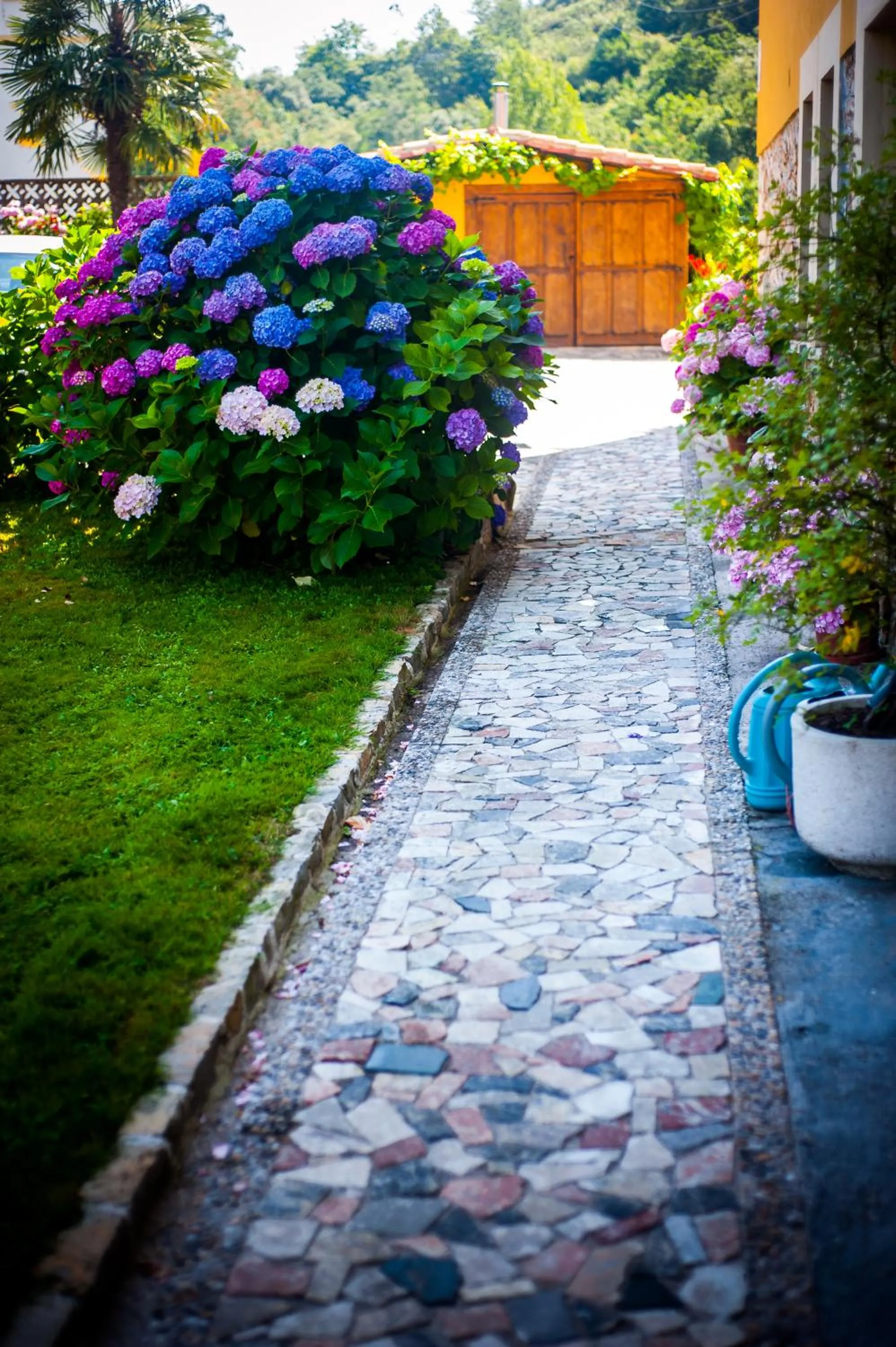 Garden in Casa de Aldea Riosol