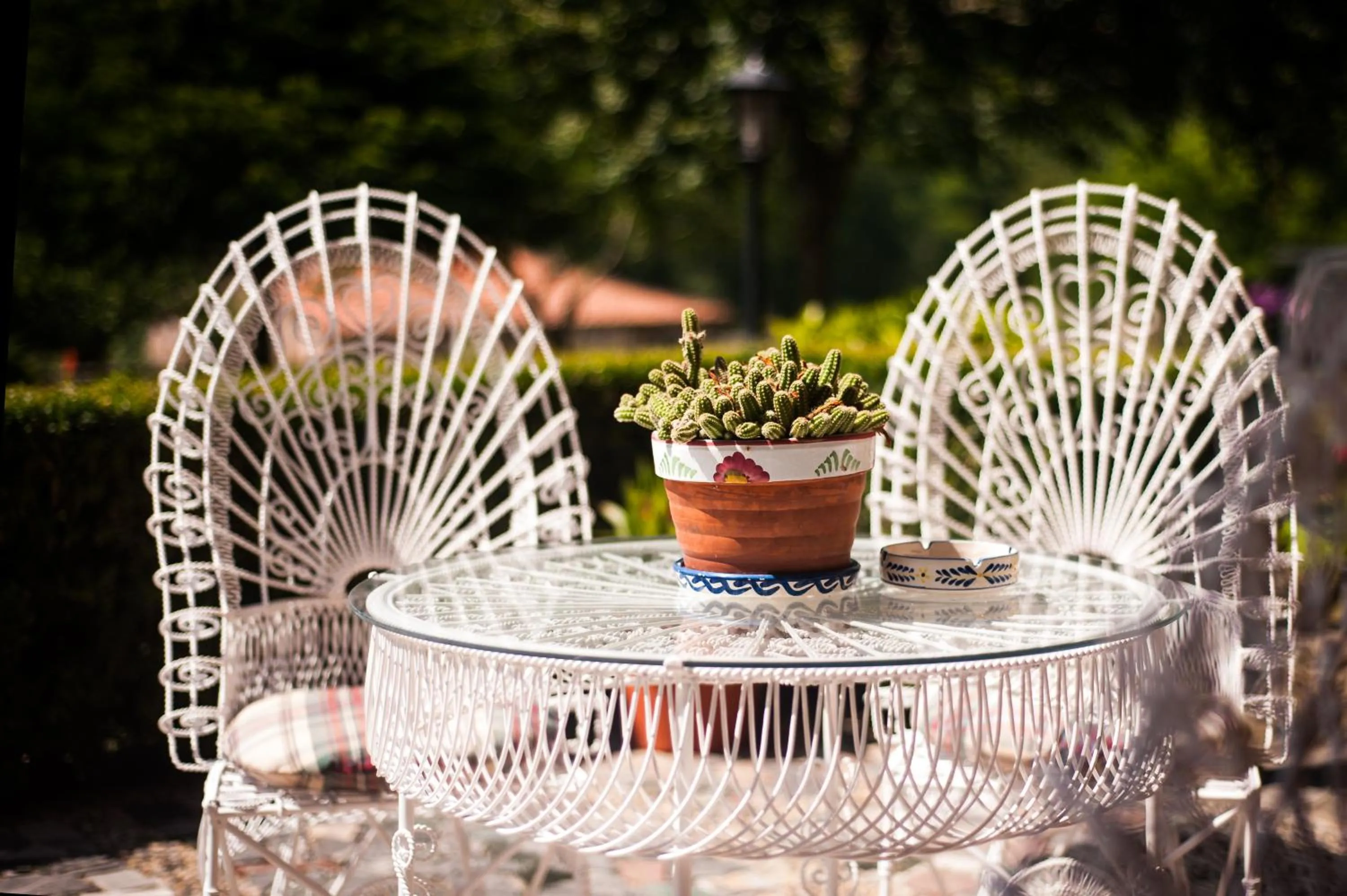 Garden in Casa de Aldea Riosol