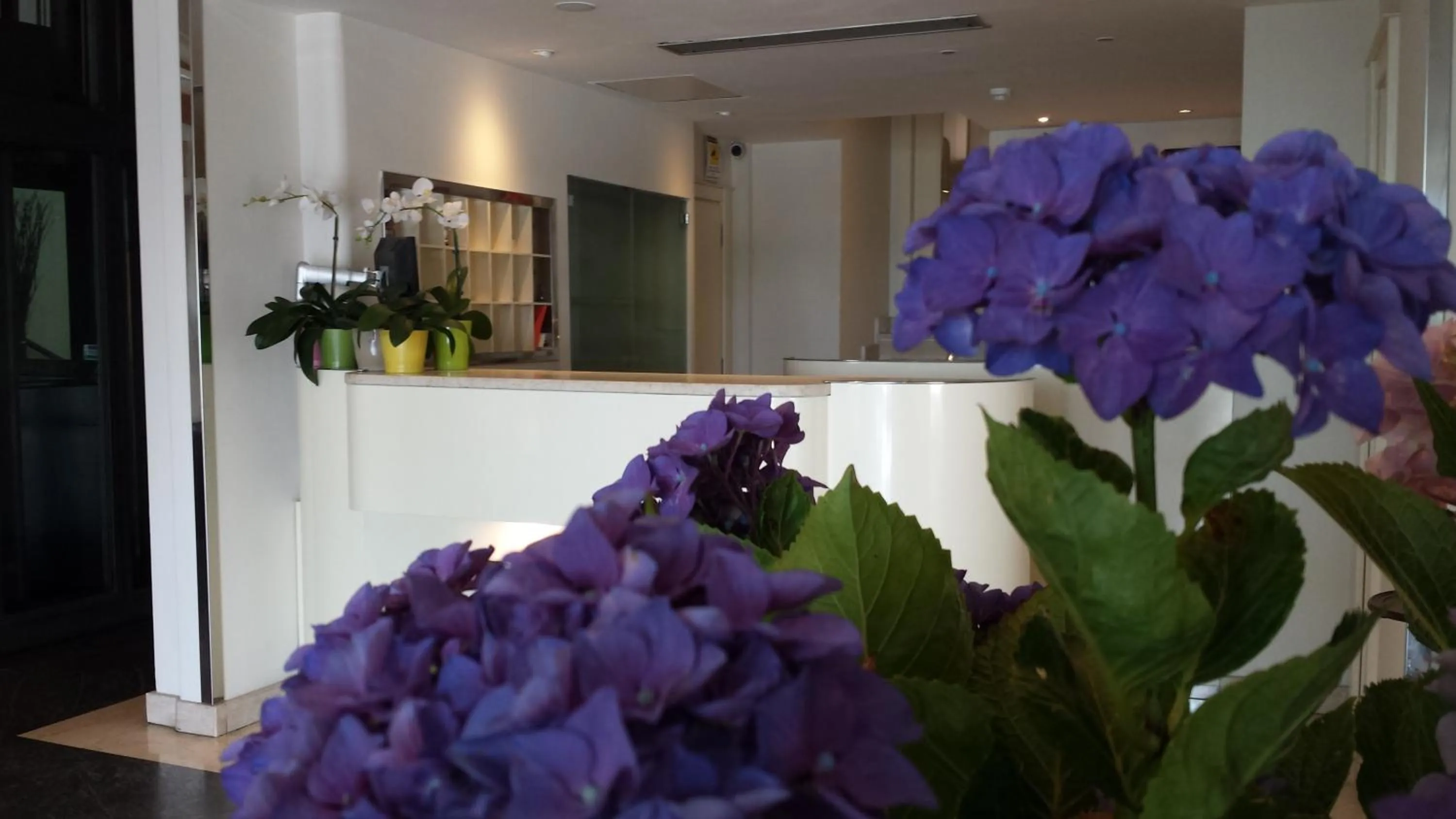 Lobby or reception in Hotel Riviera