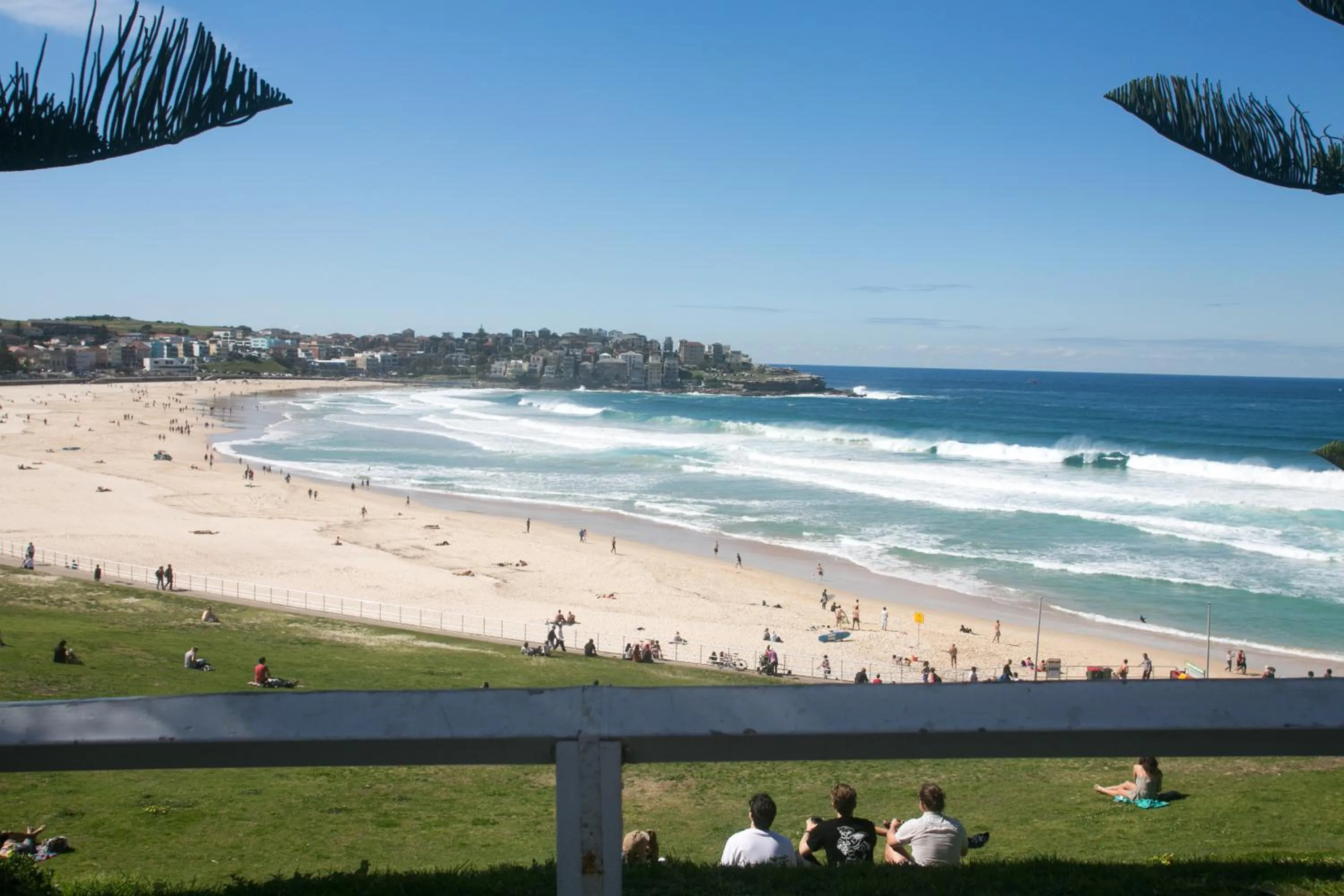 Beach in Bondi 38 Serviced Apartments