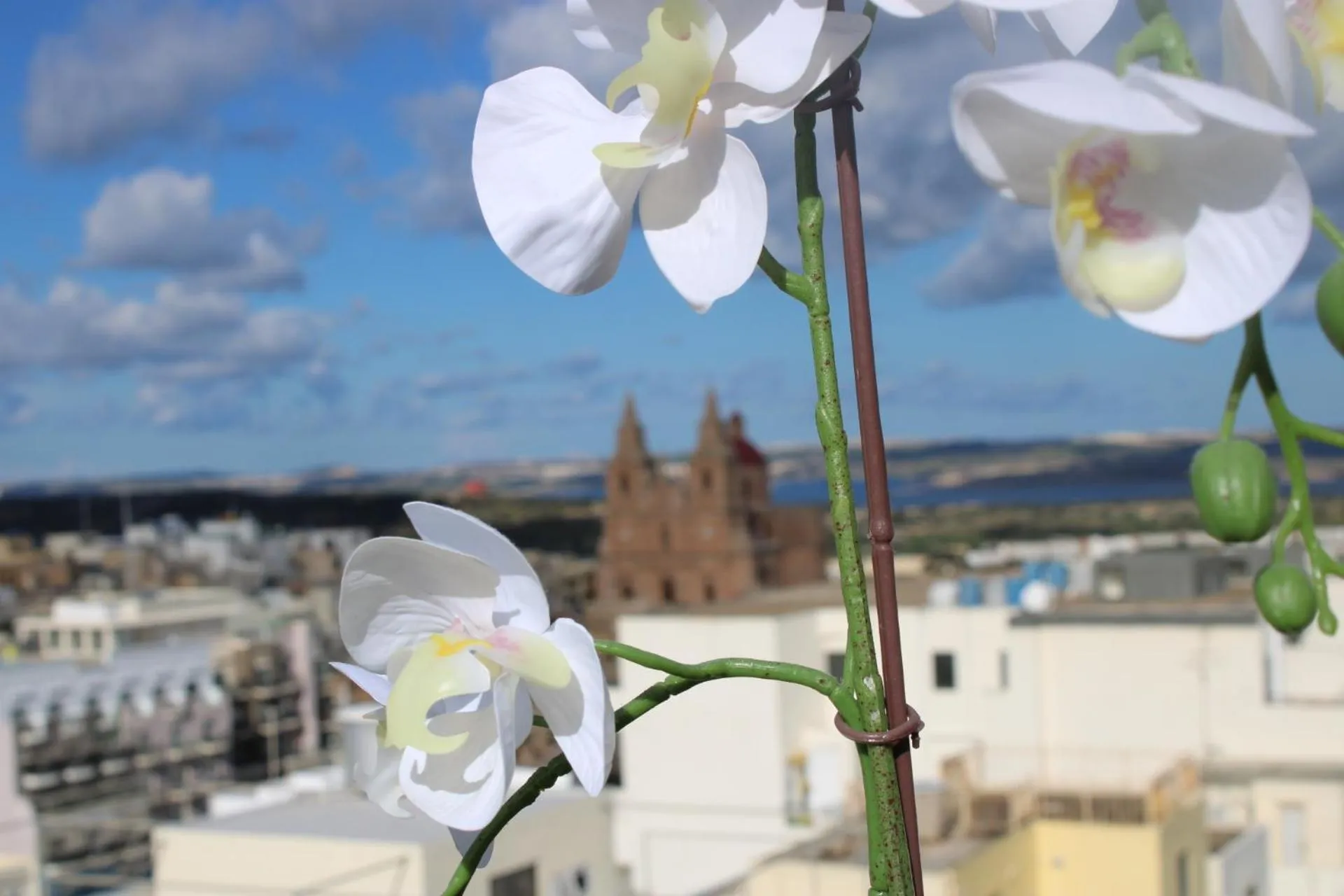 Victoria by Petit Chic