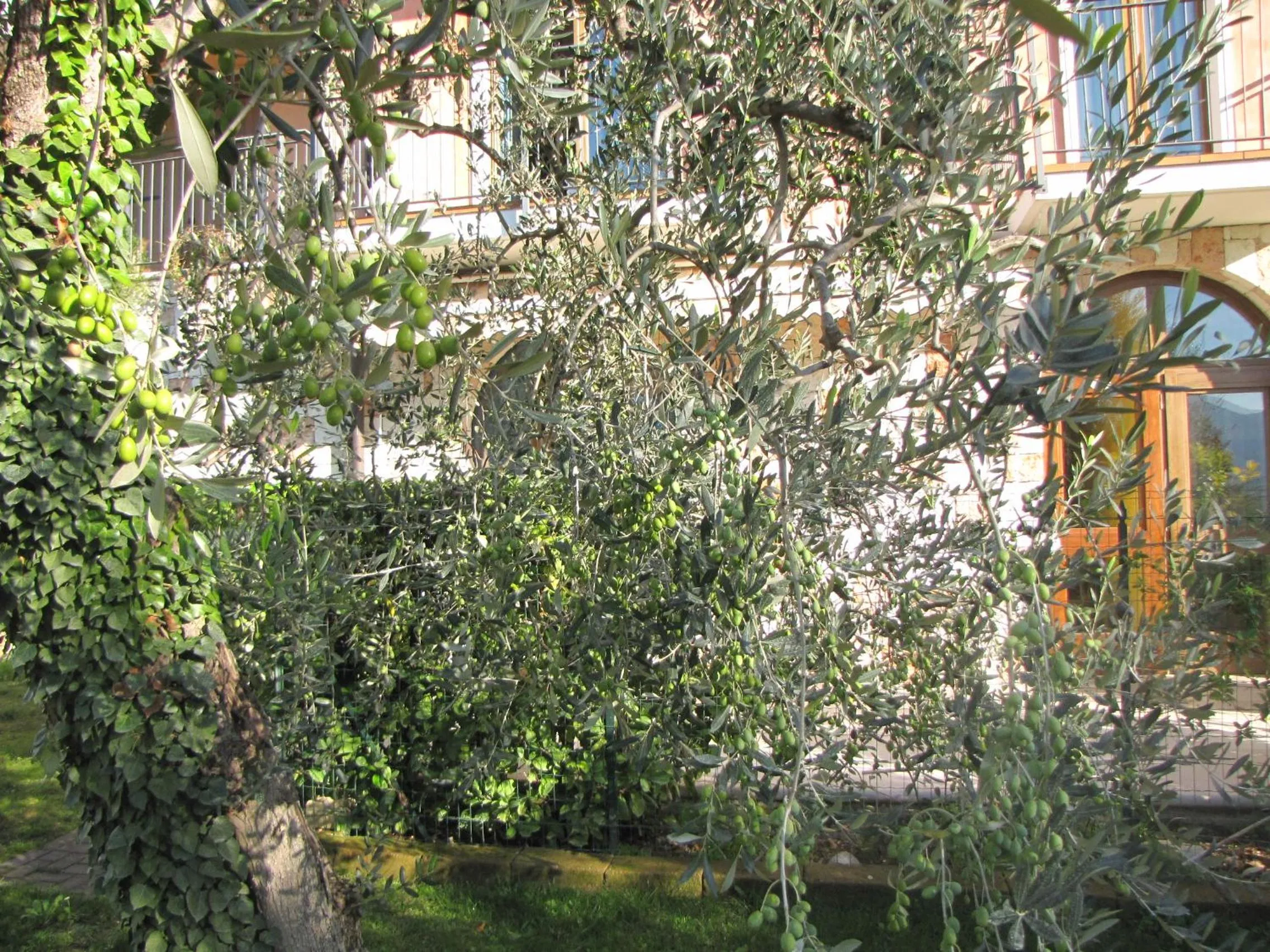 Day in Residence Villa Margherita