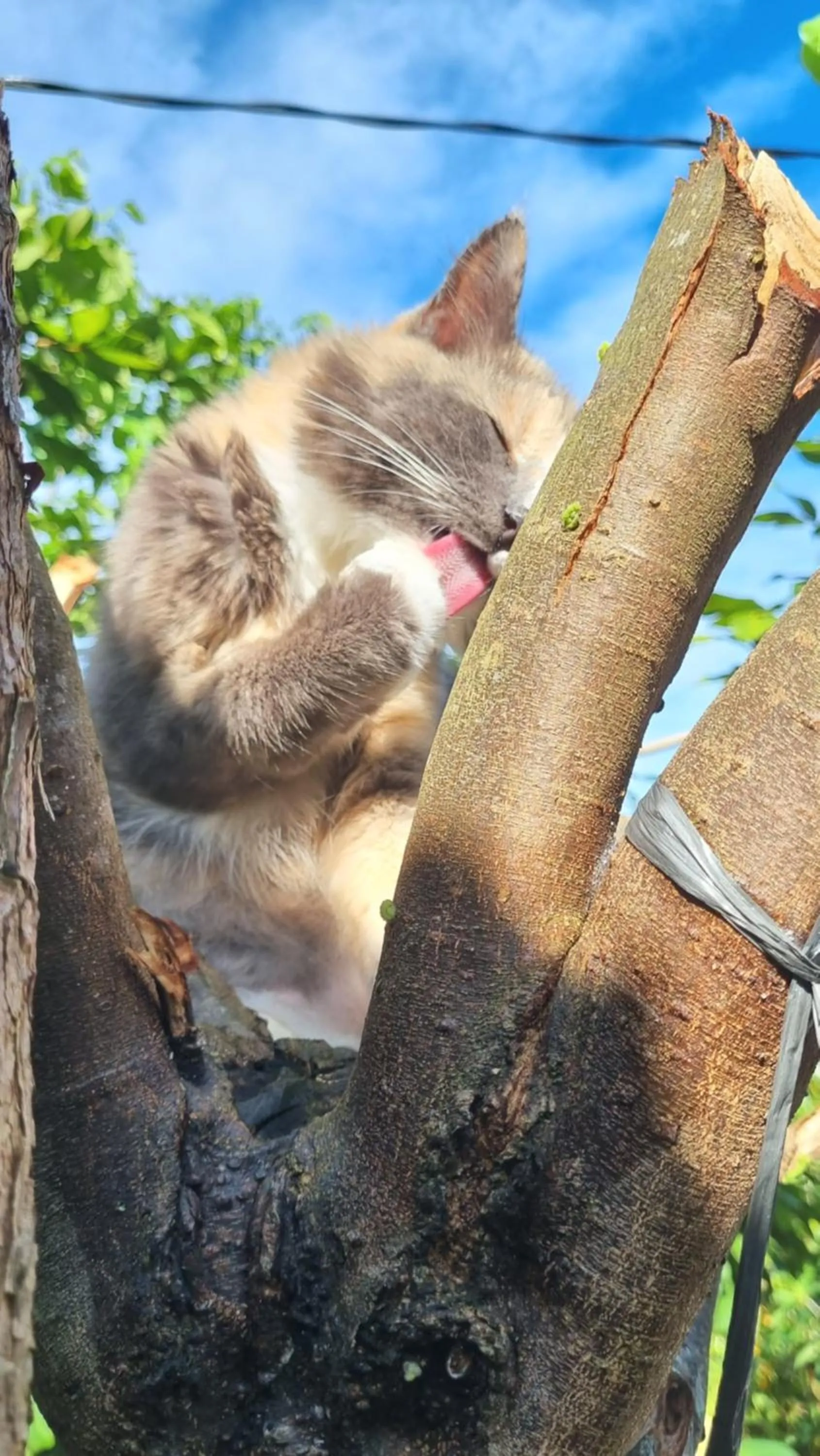 Seven Stones Langkawi
