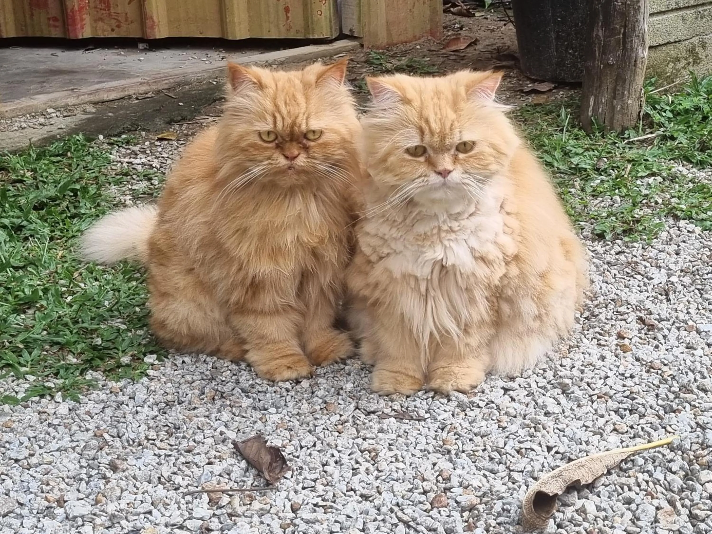 Seven Stones Langkawi