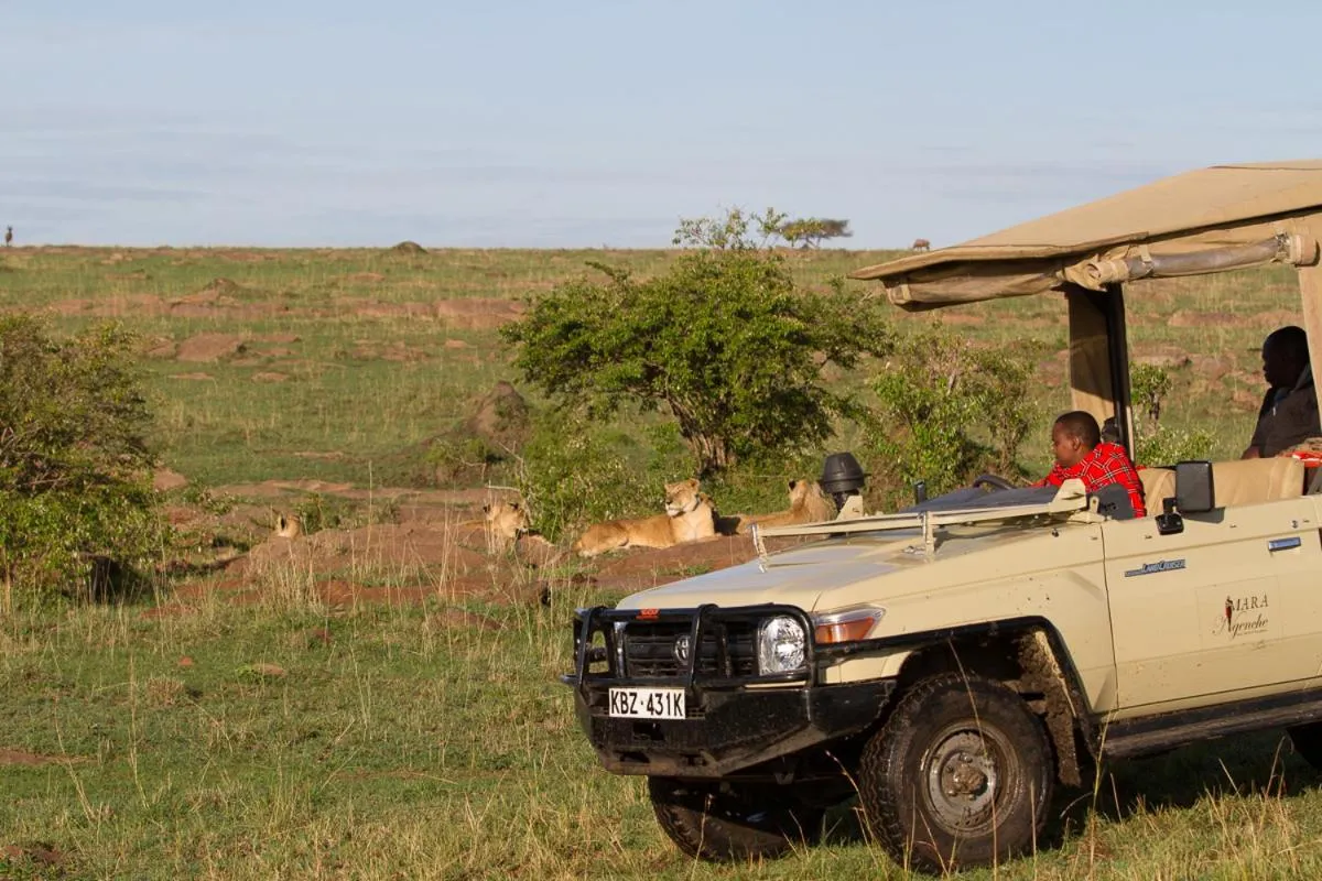 Mara Ngenche Safari Camp - Maasai Mara National Reserve